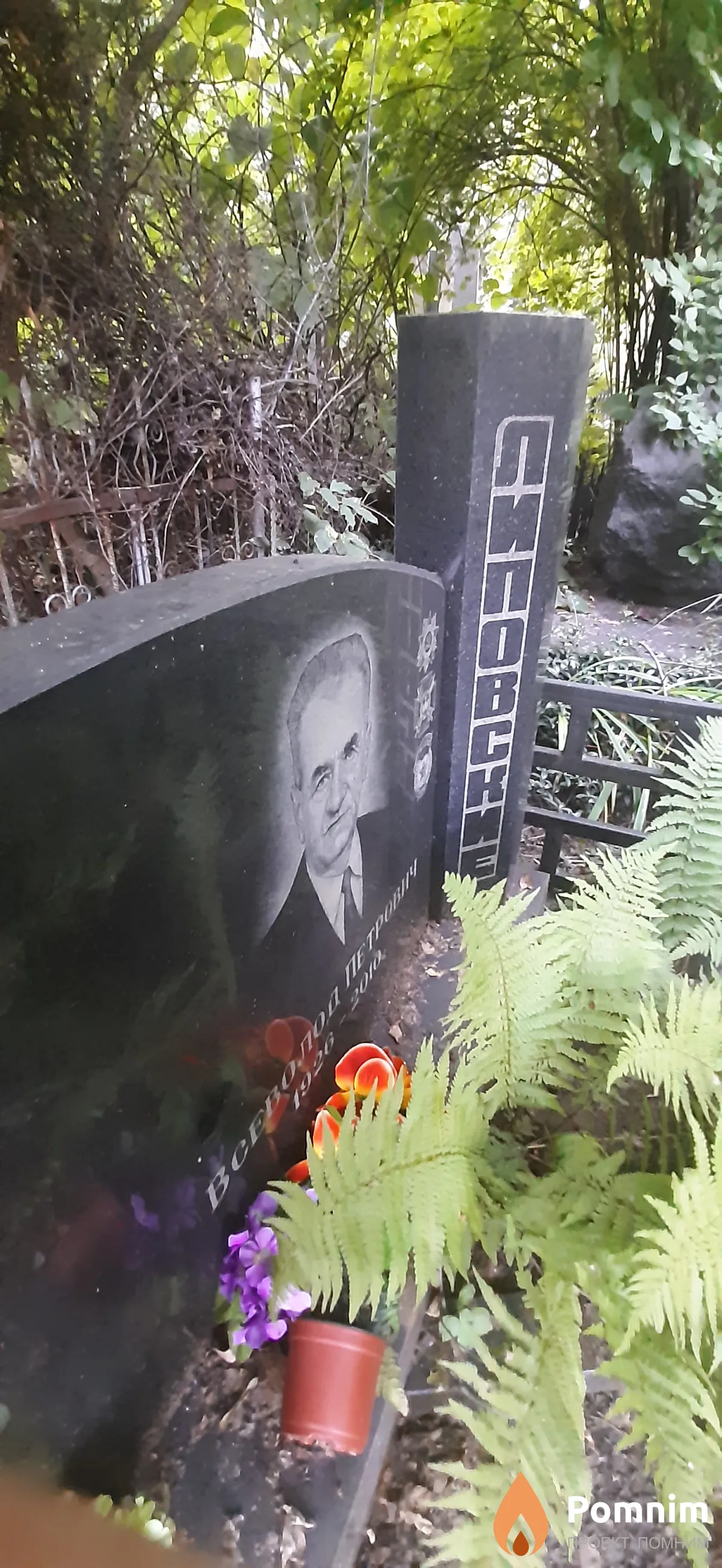 Липовский Всеволод Петрович