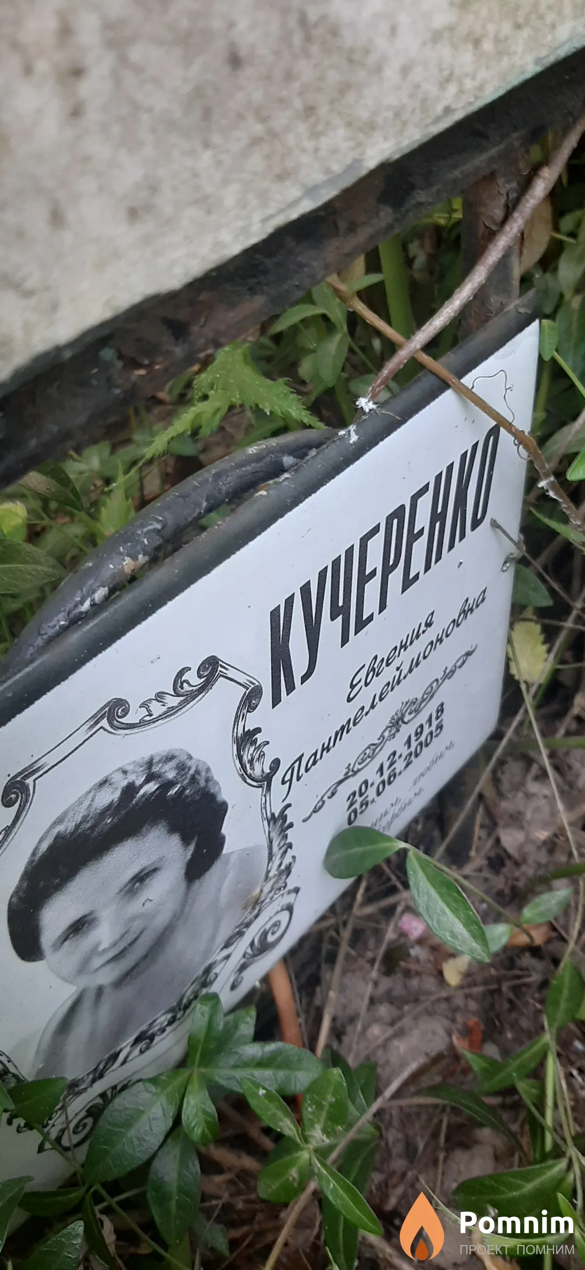 Кучеренко Евгения Пантелеймовна