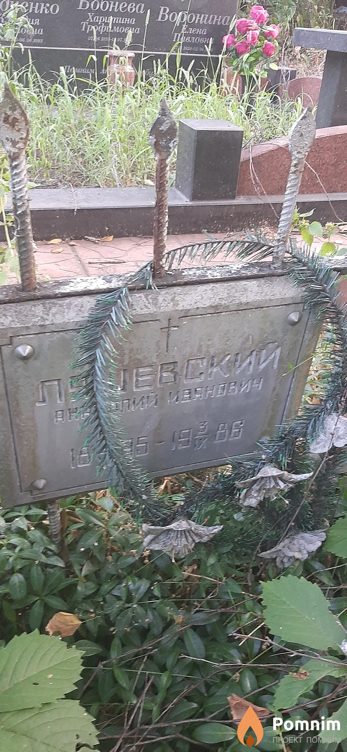 Ляшевский Анатолий Иванович