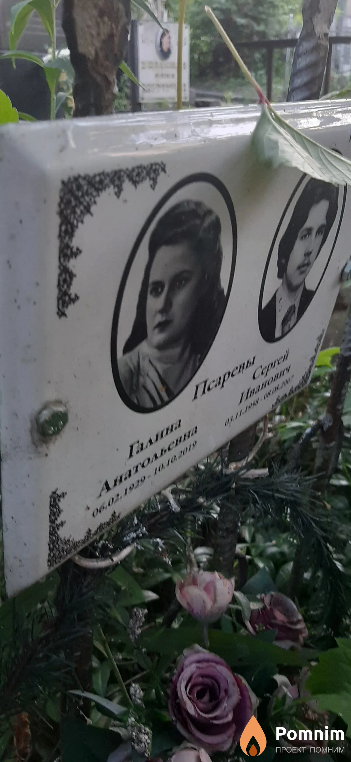 Псарева Галина Анатольевна