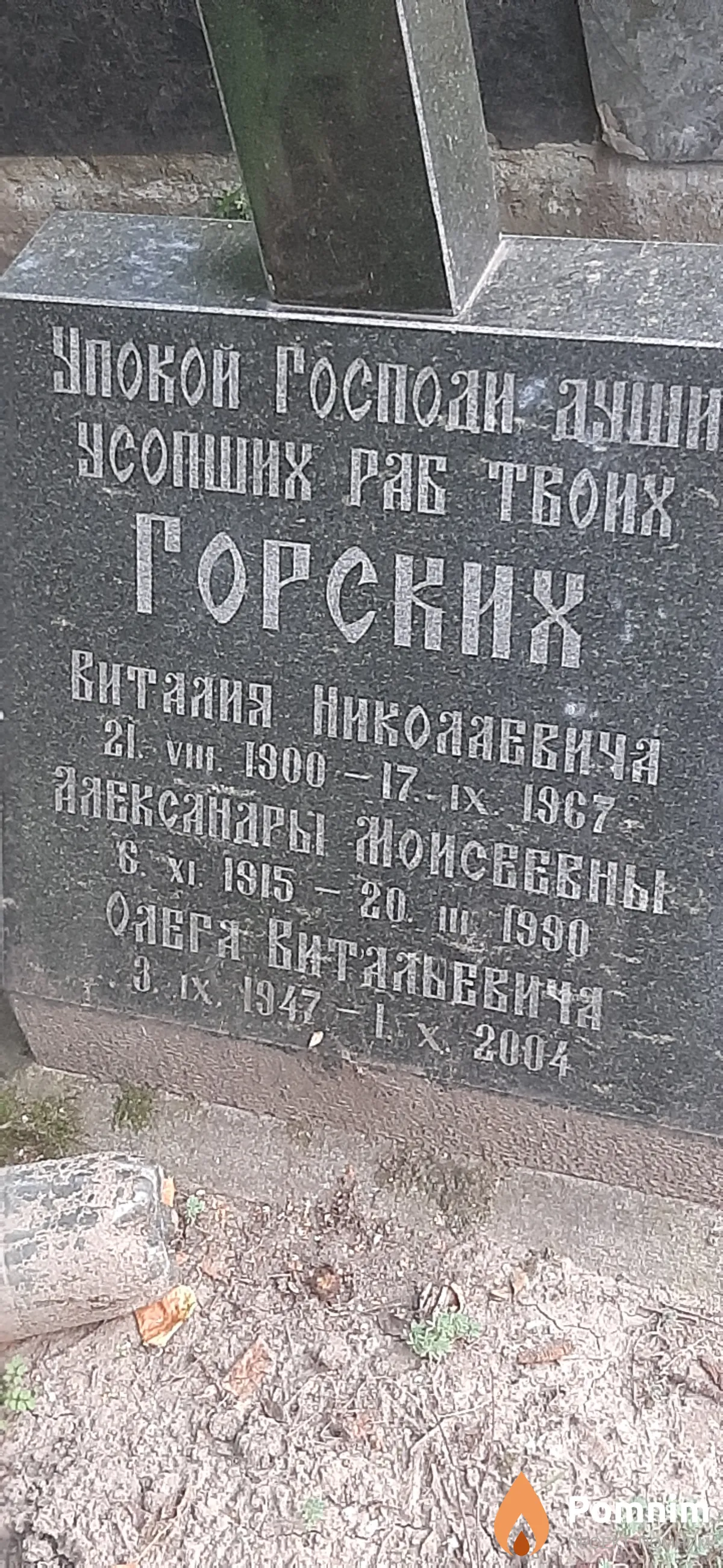 Горских Виталий Николаевич
