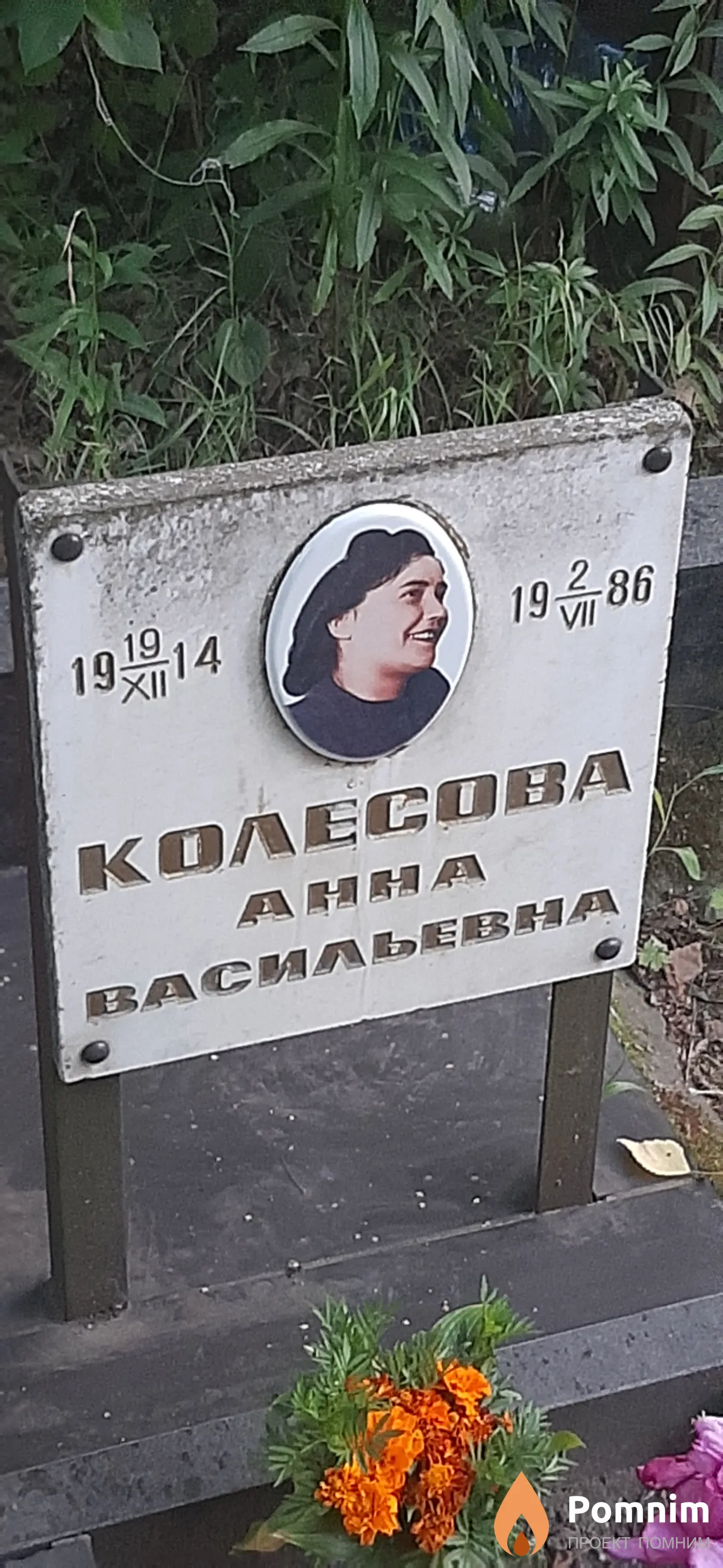 Колесова Анна Васильевна