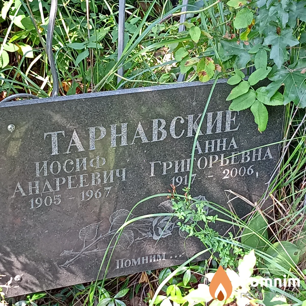 Тарнавскиая Анна Григорьевна