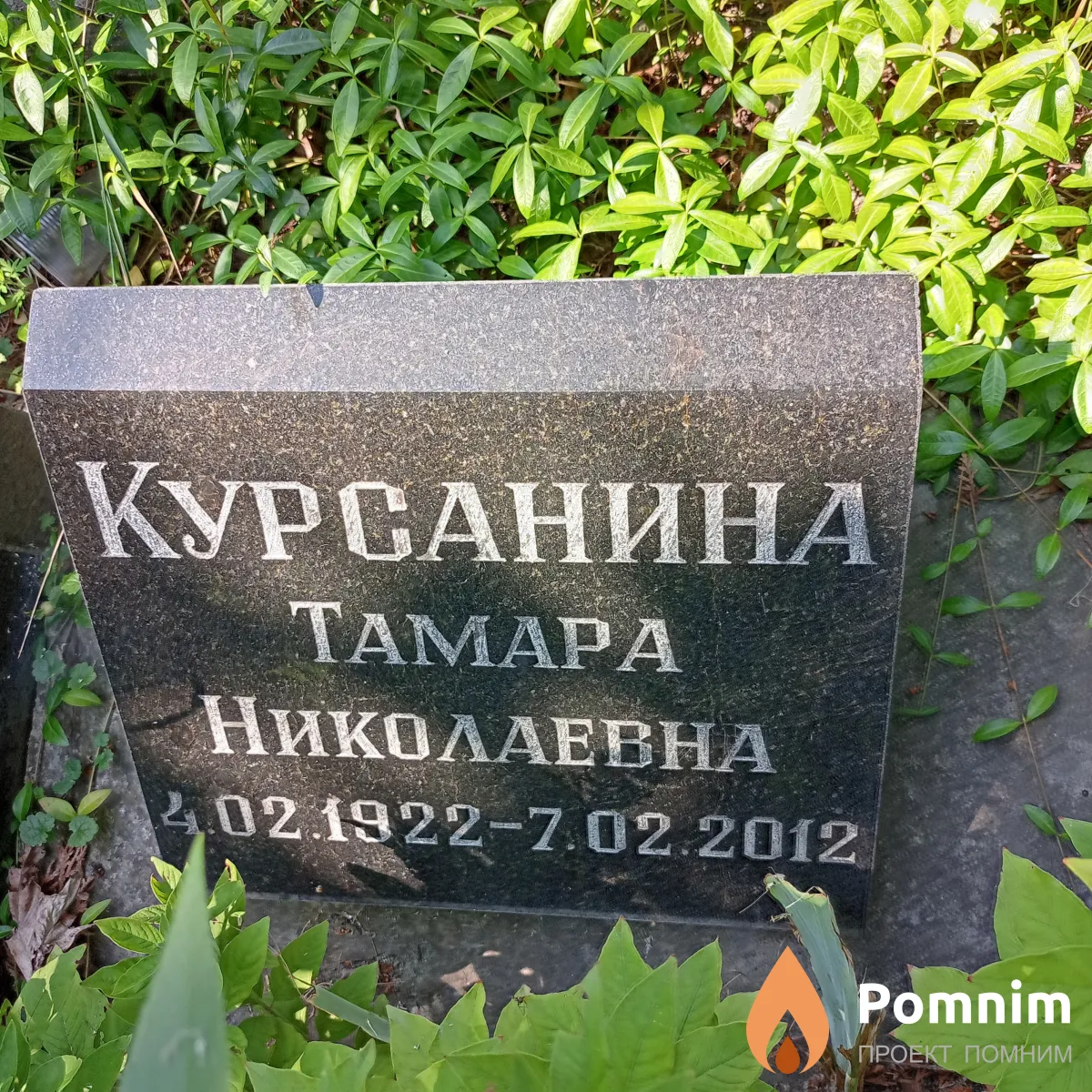 Курсанина Тамара Николаевна