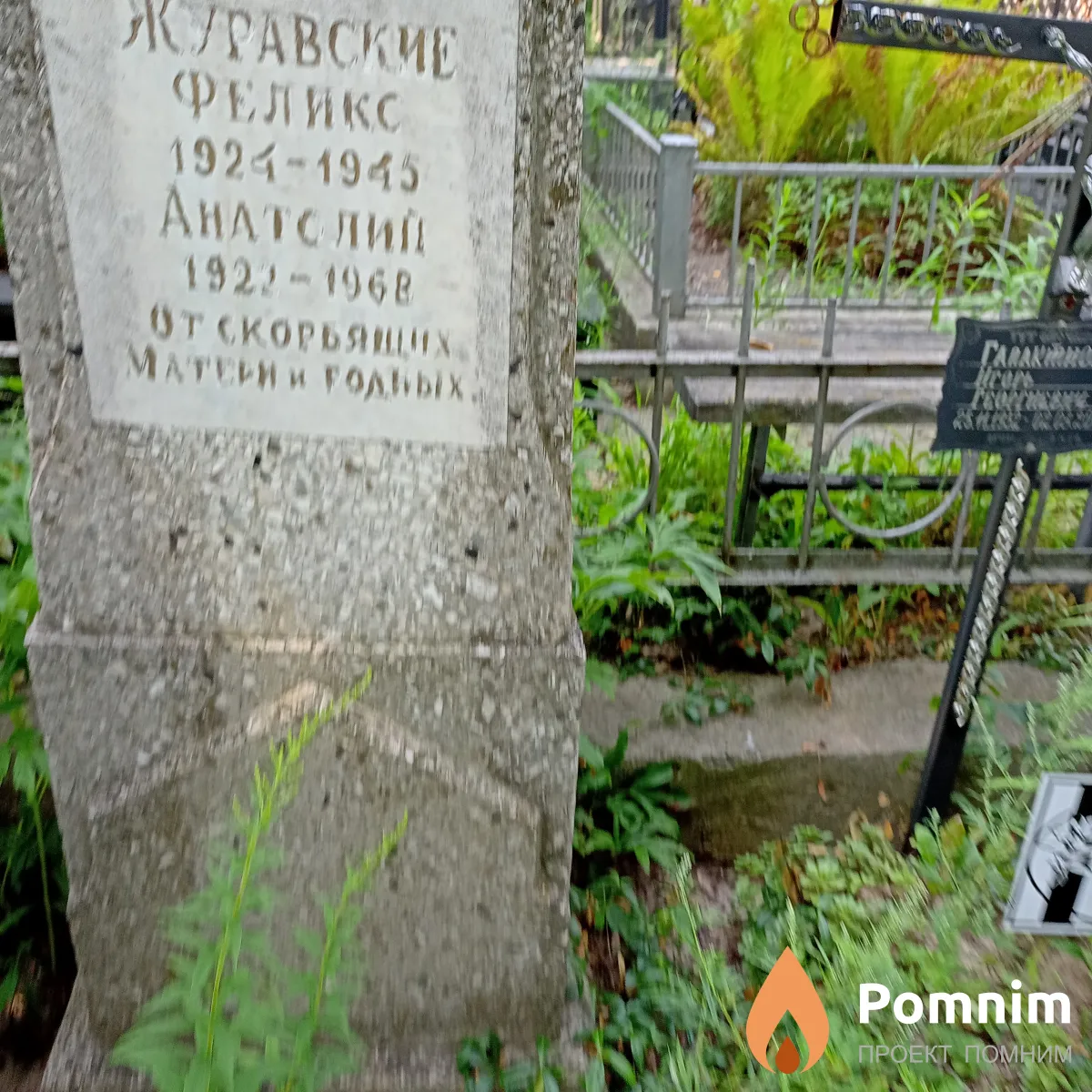 Журавский Анатолий