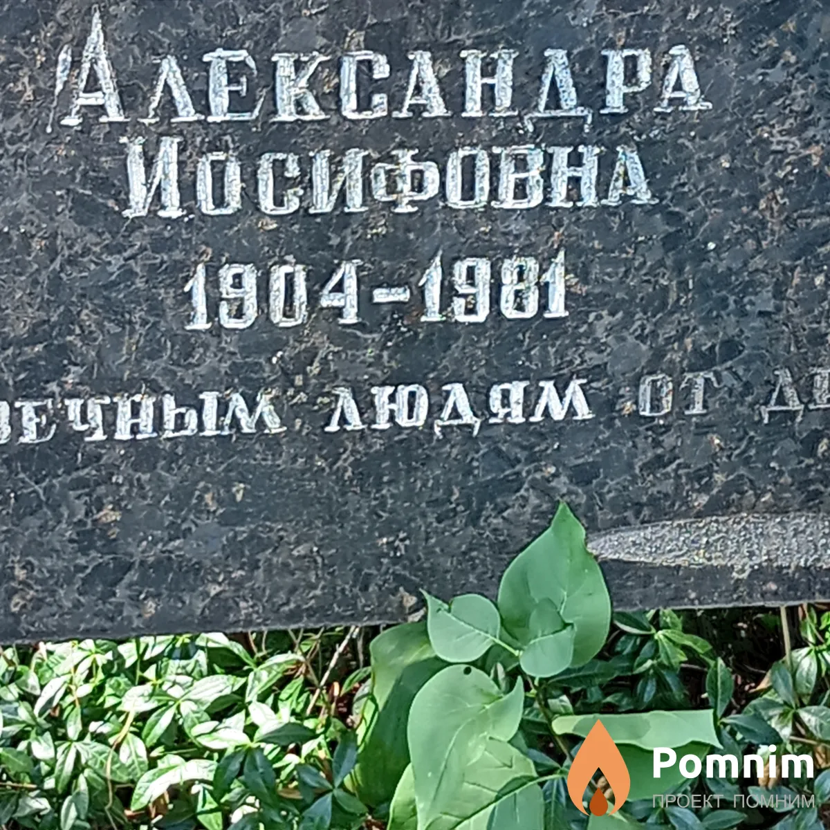 Краевская Александра Иосифовна