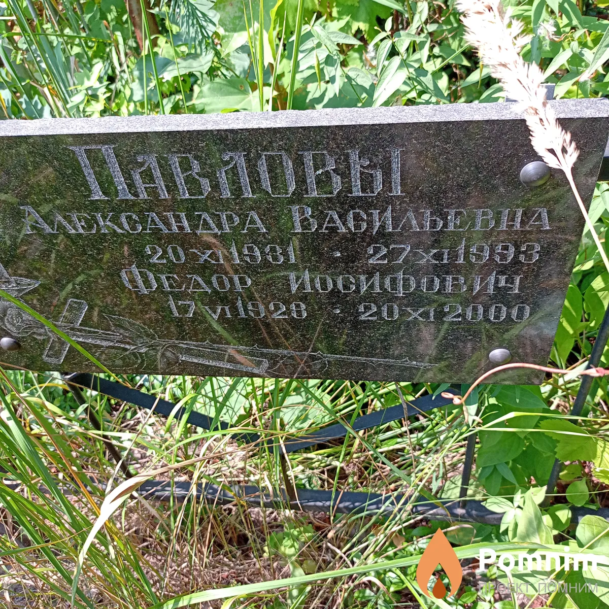 Павлова Александра Васильевна