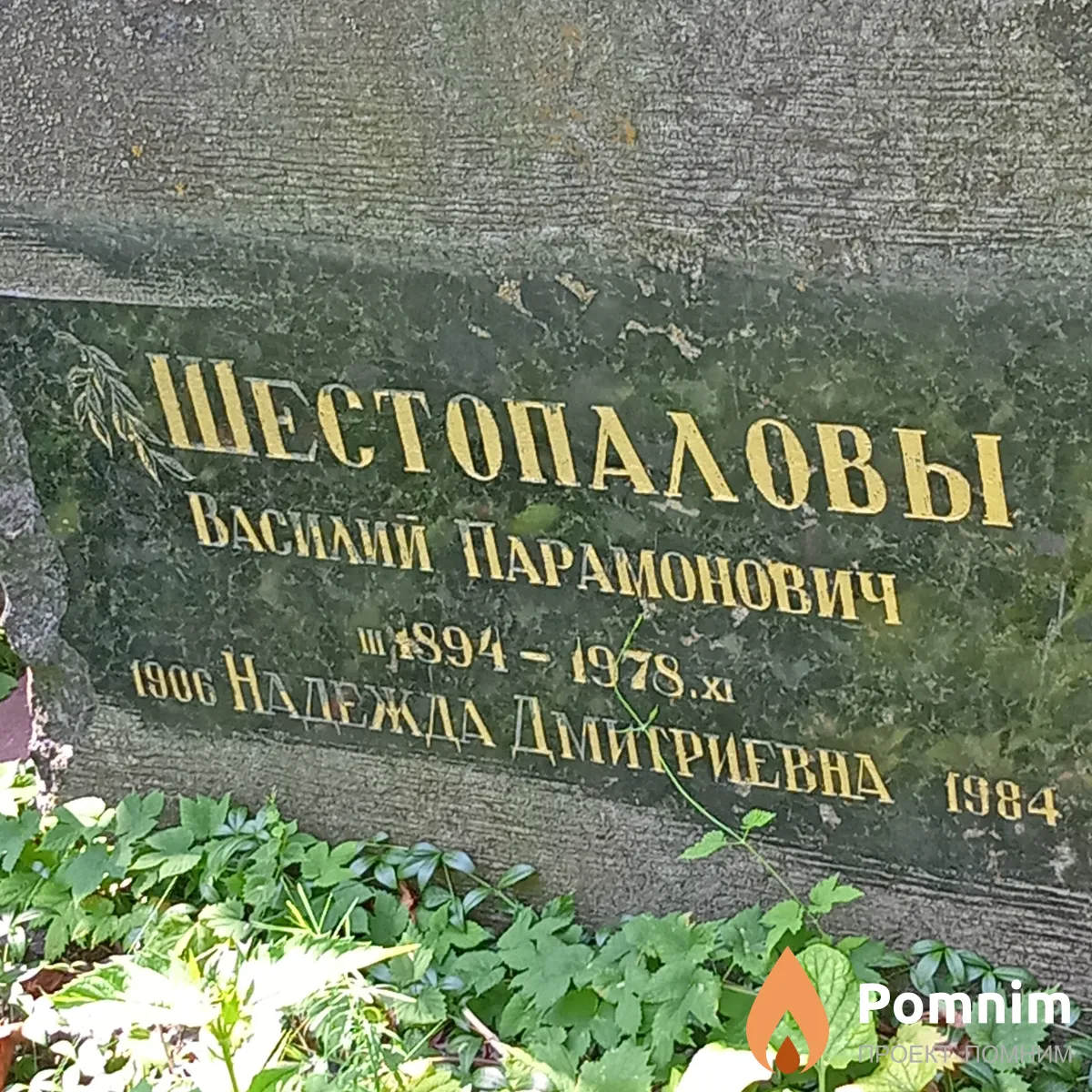 Шестопалова Надежда Дмитриевна