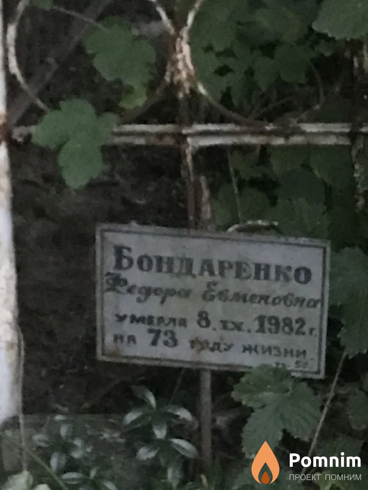 Бондаренко Фёдора Евгеньевна