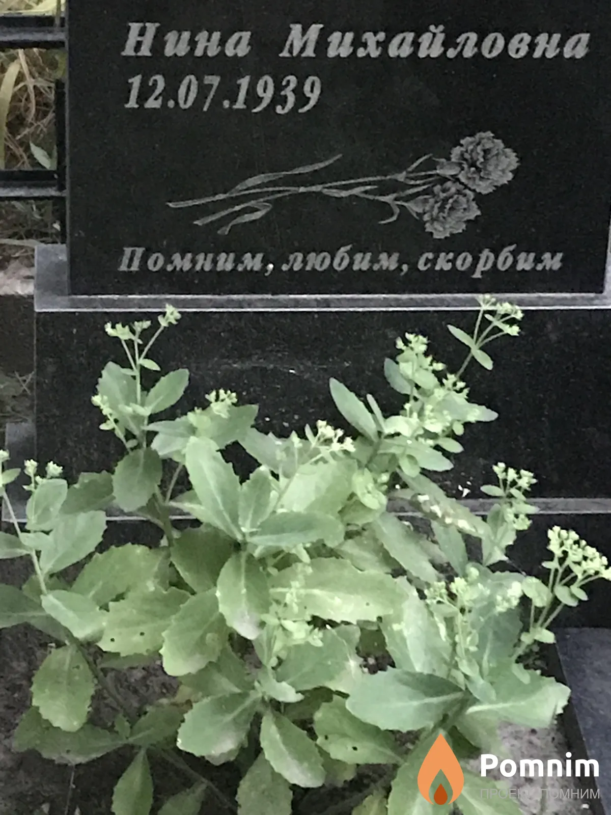 Ралько Нина Михайлович