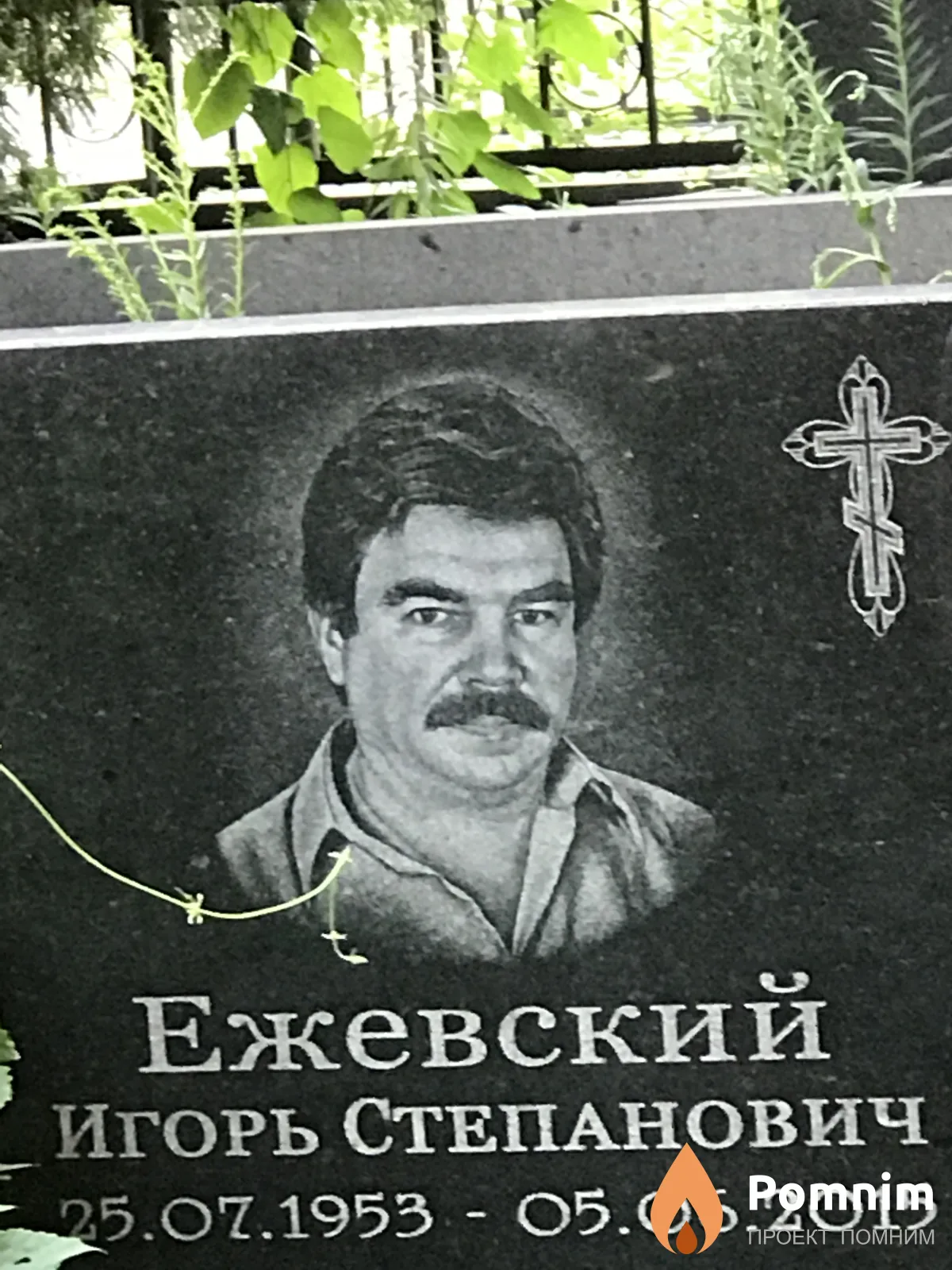 Ежевский Игорь Степанович