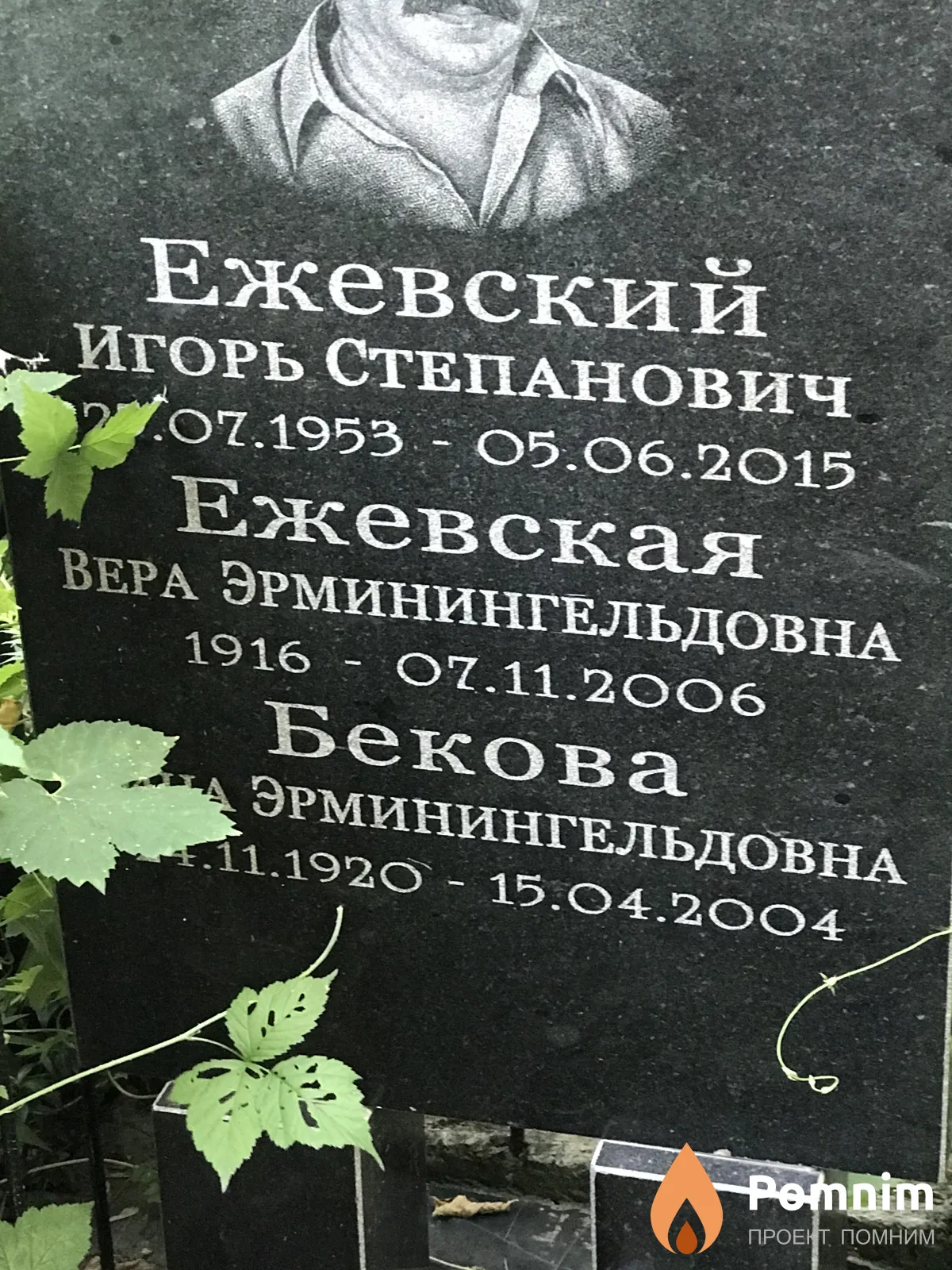 Ежевская Вера Эрминингельдовна