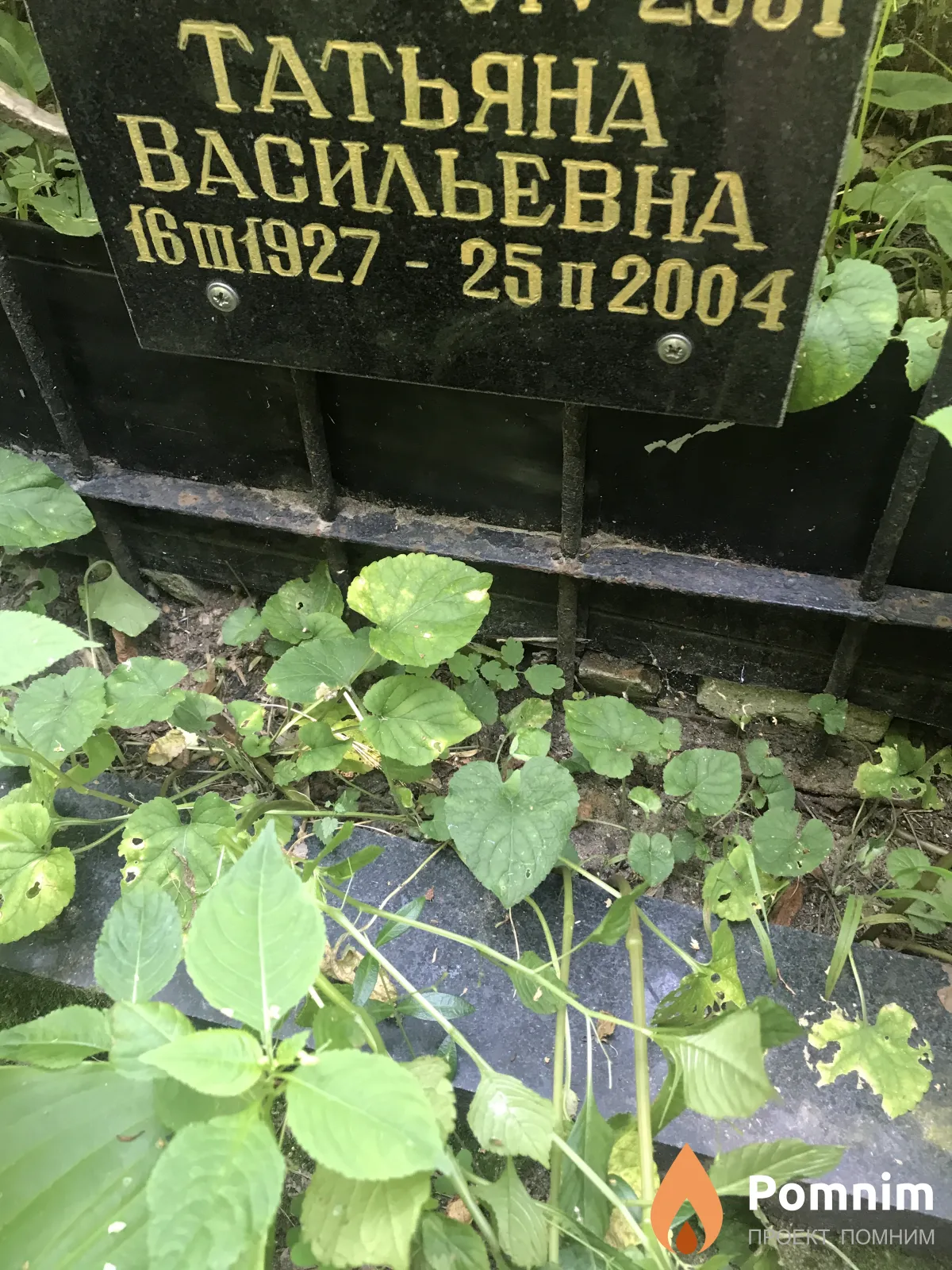 Татьяна Васильевна -