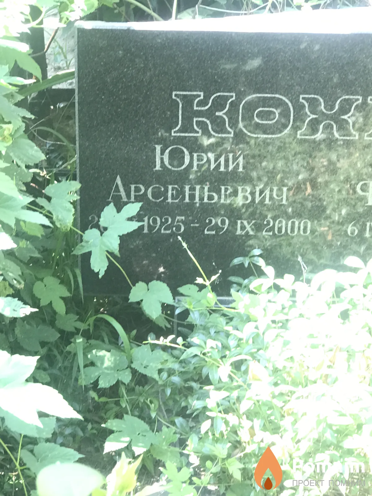 Кохно Юрий Арсеньевич