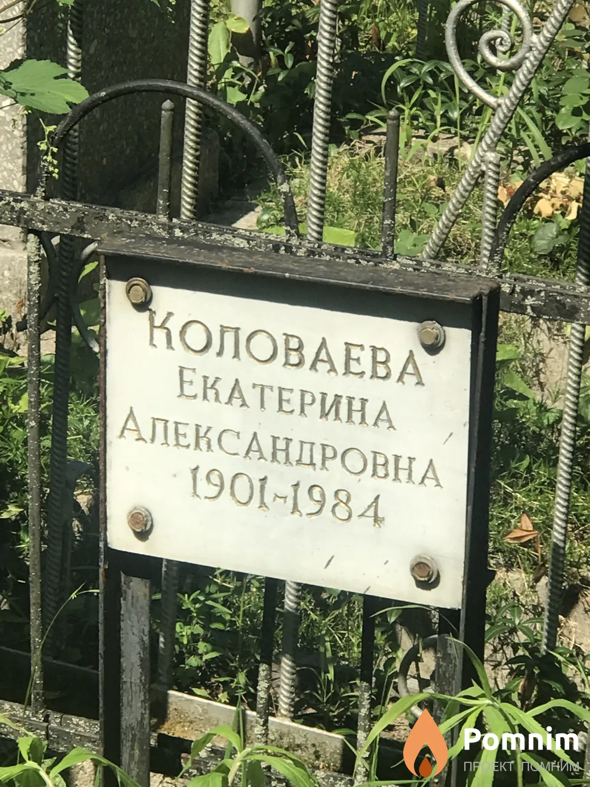 Коловаева Екатерина Александровна