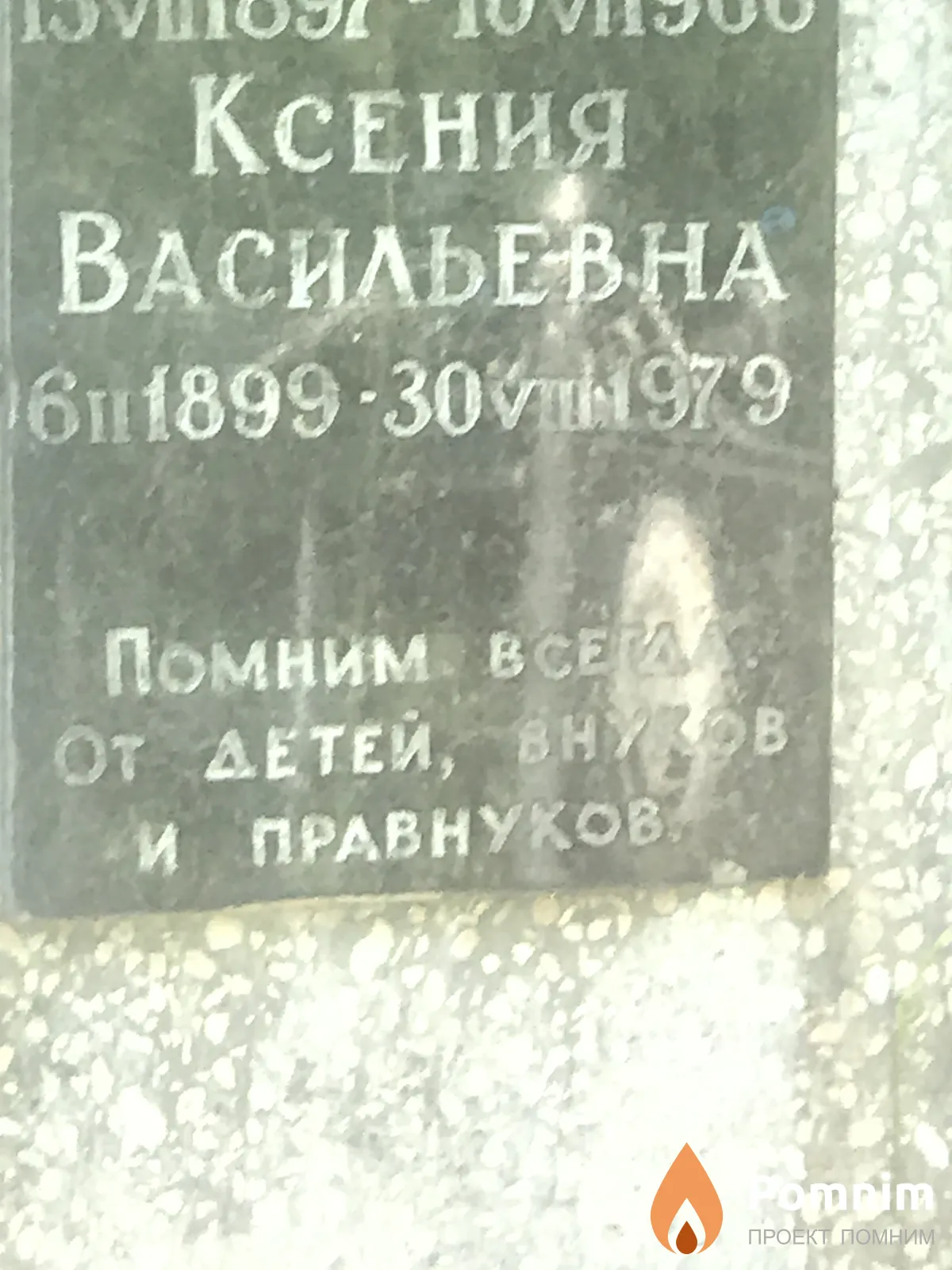 Колесник Ксения Васильевна