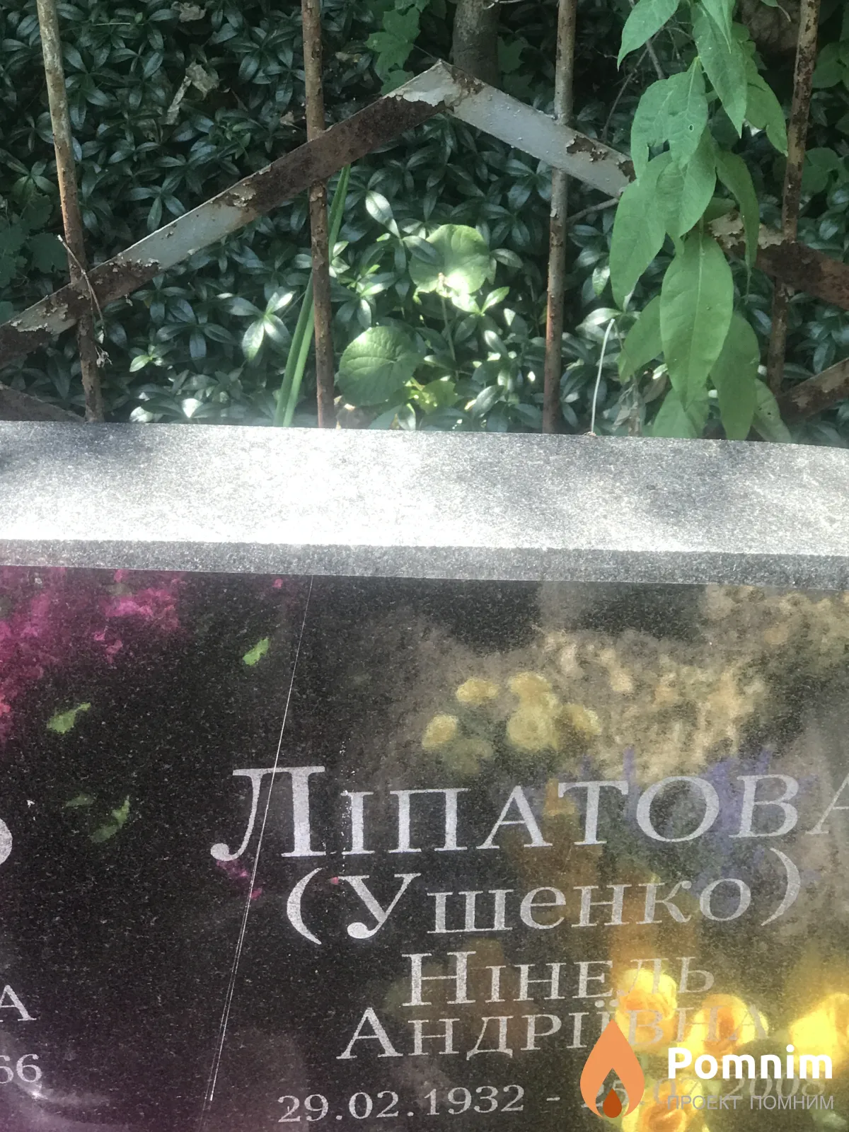 Липатов Нинель Андреевна
