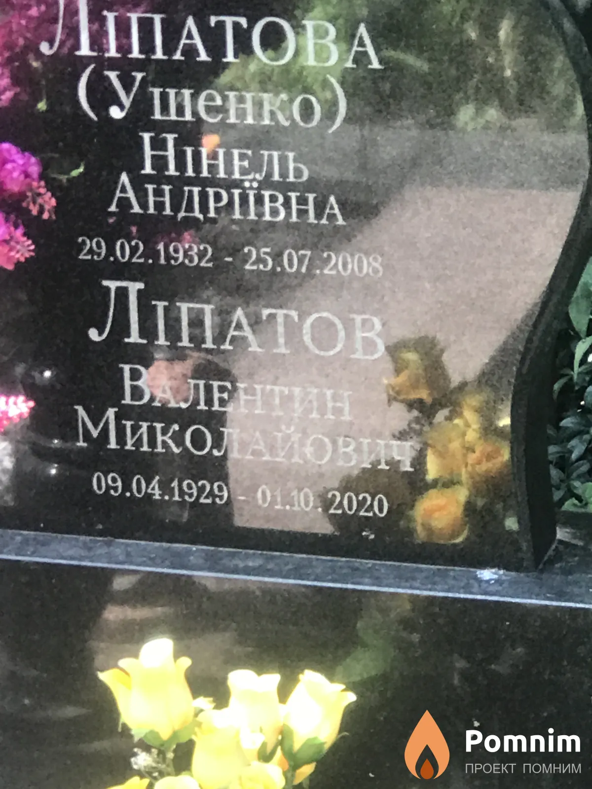 Ліпатова Ушенко Ніќель