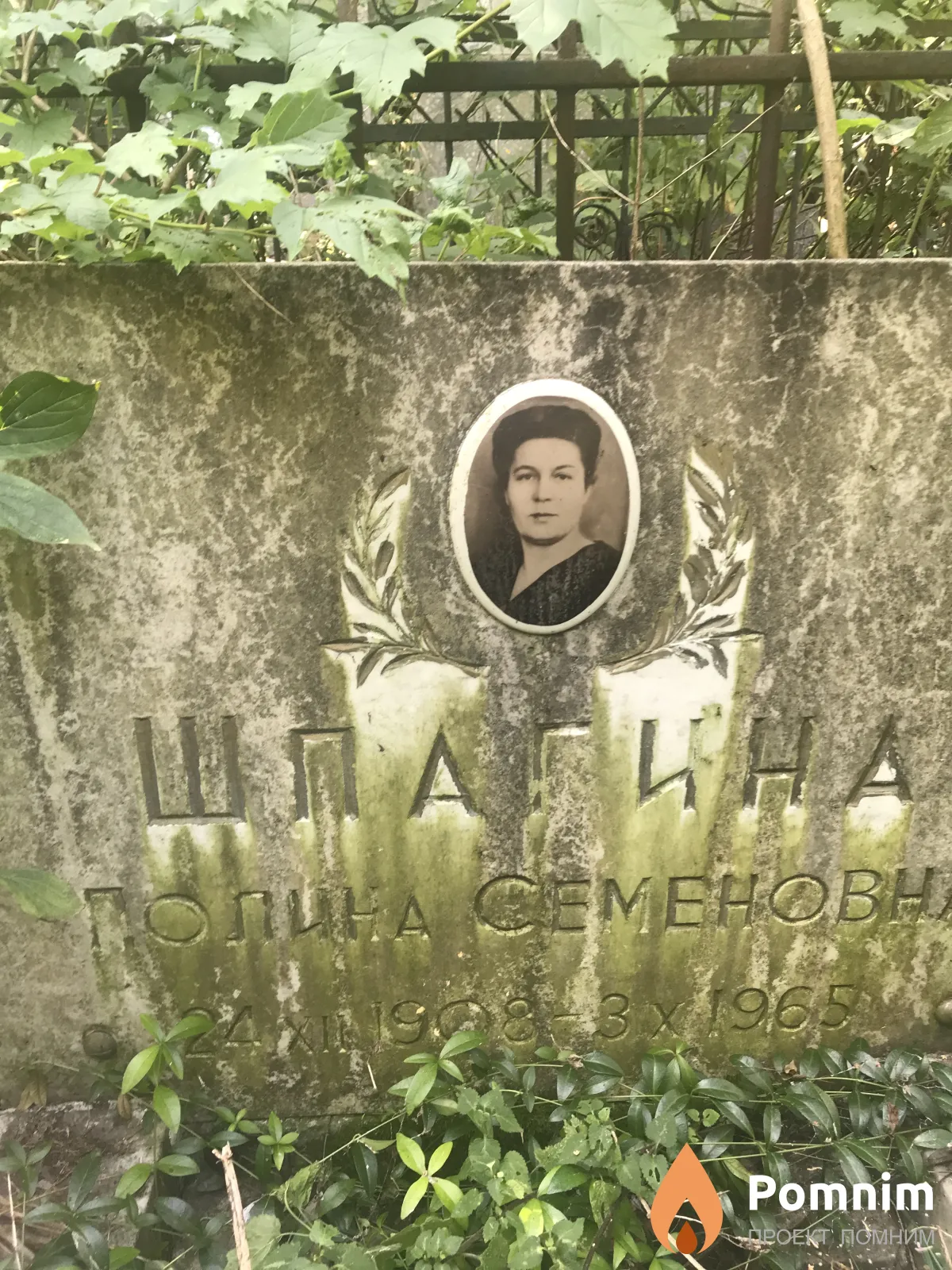 Шпагина Полина Семенове