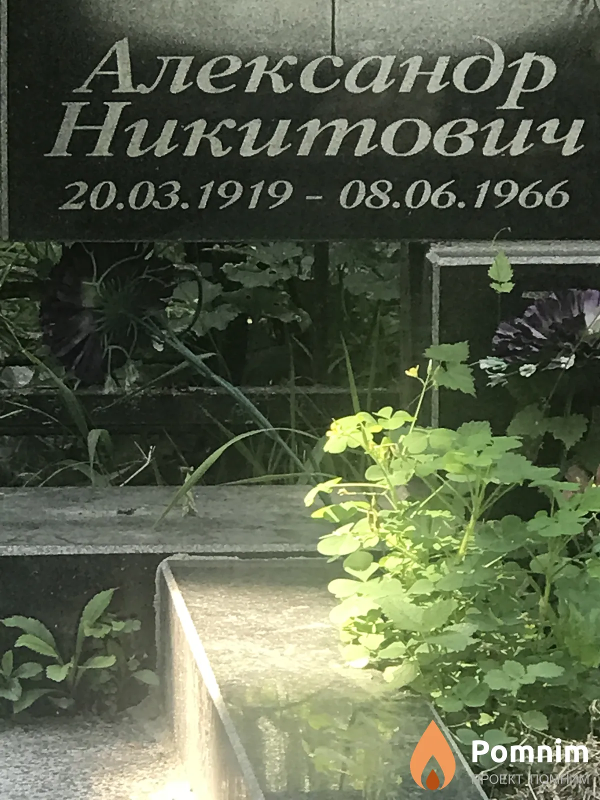 Александр Никитович