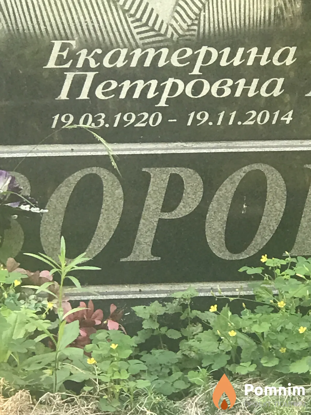 Воронины Екатерина Петровна
