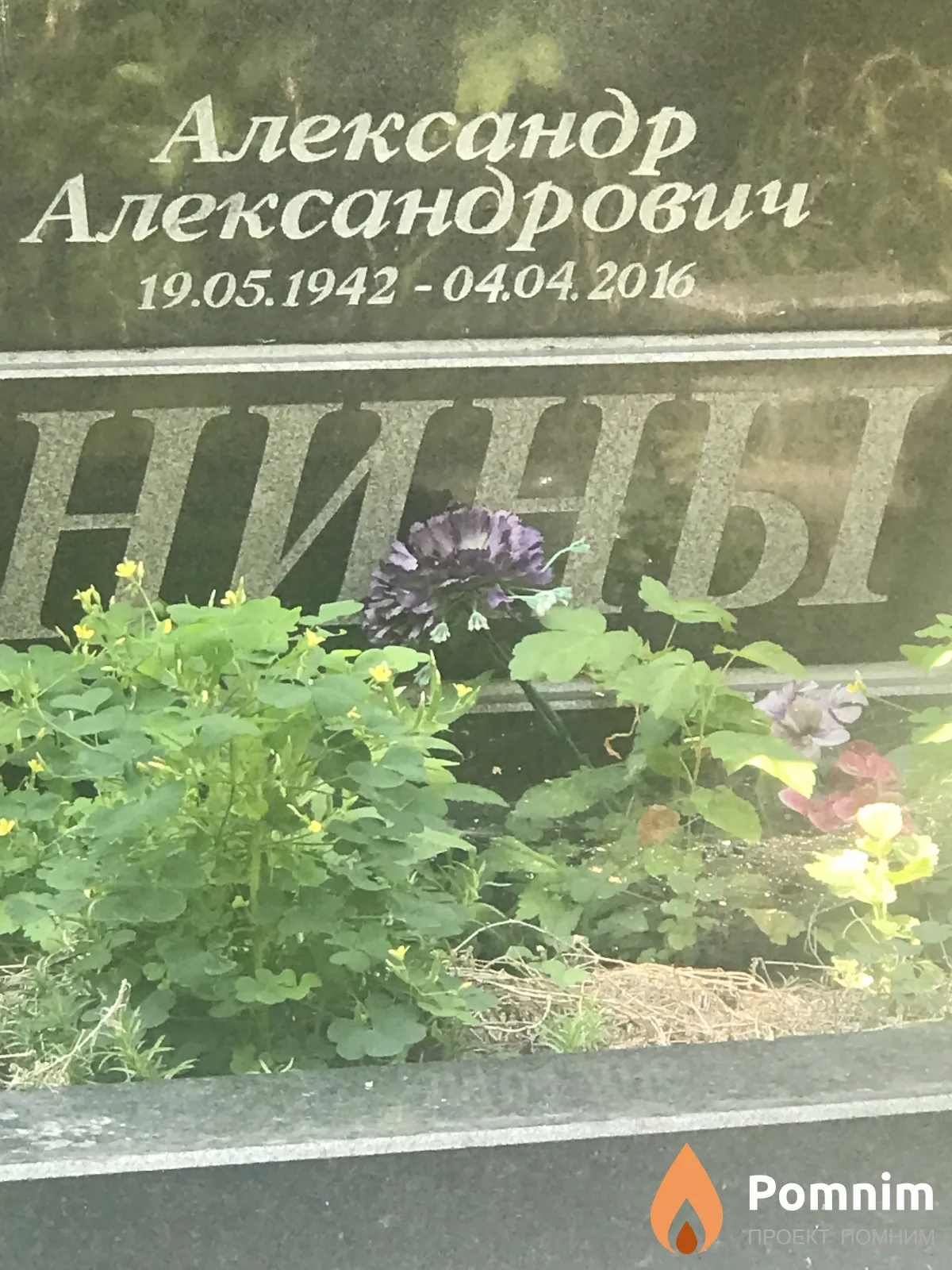 Воронины Александр Александрович