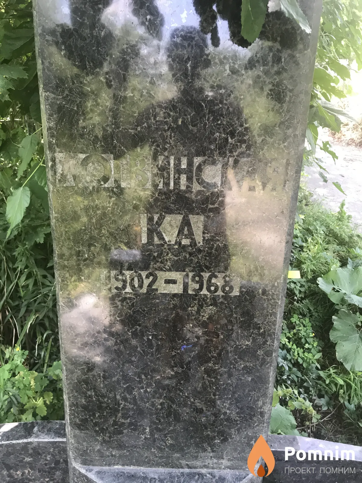 Левинская К А