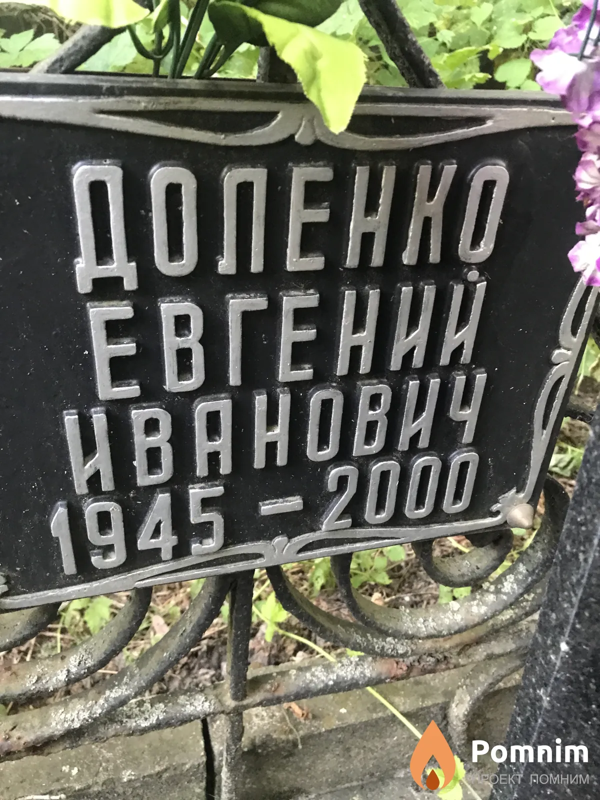 Доленко Евгений Иванович
