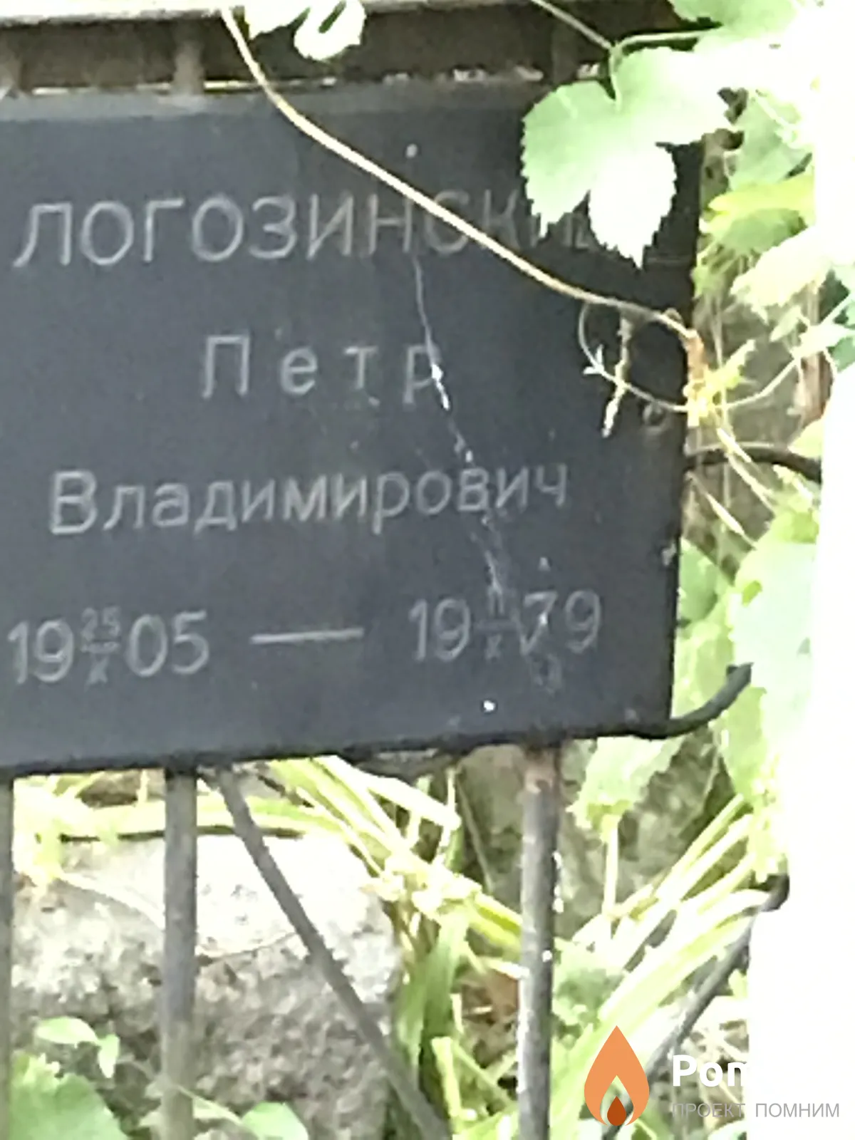 Логозинский Пётр Владимирович