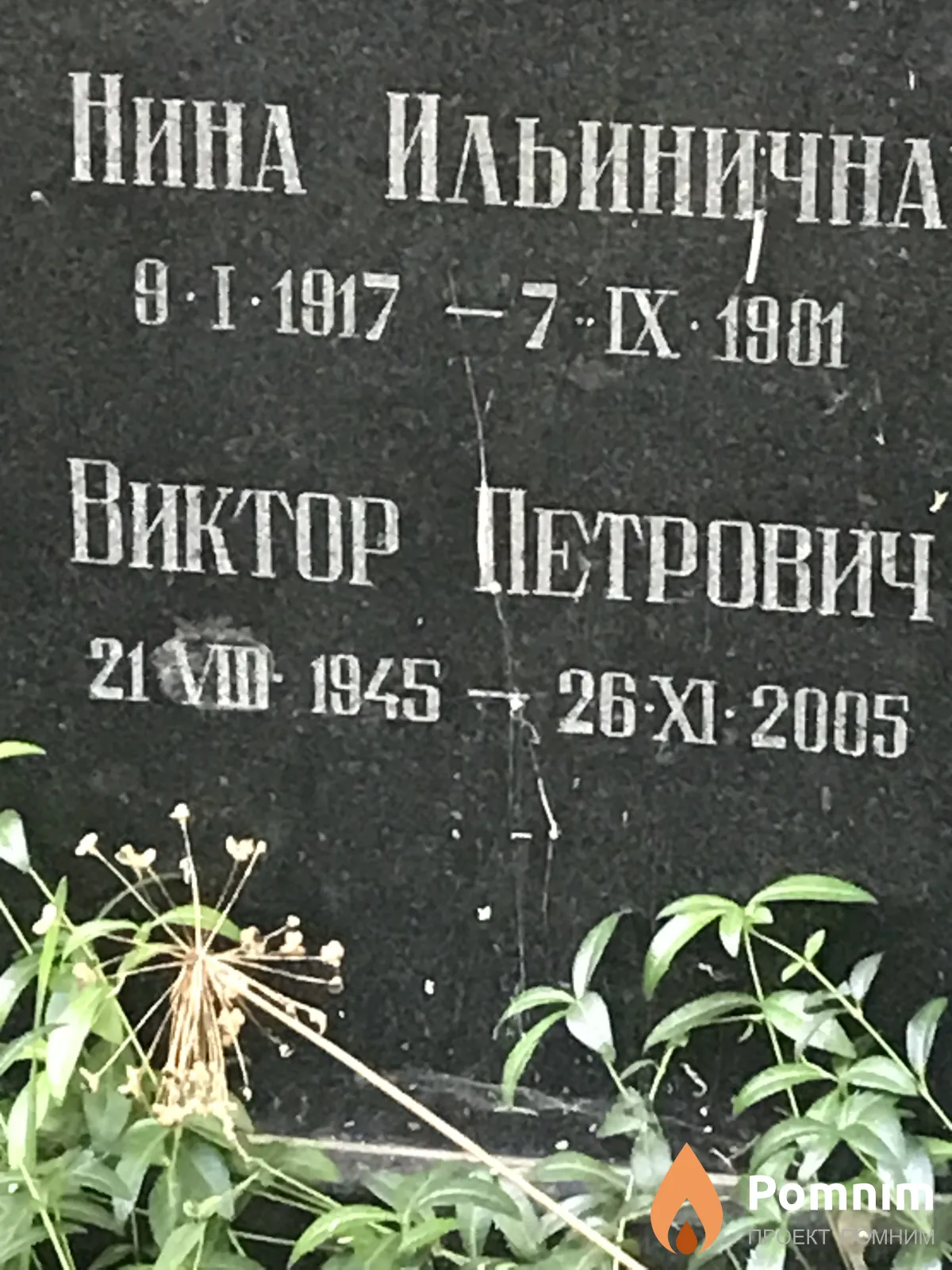 Логозинская Нина Ильична