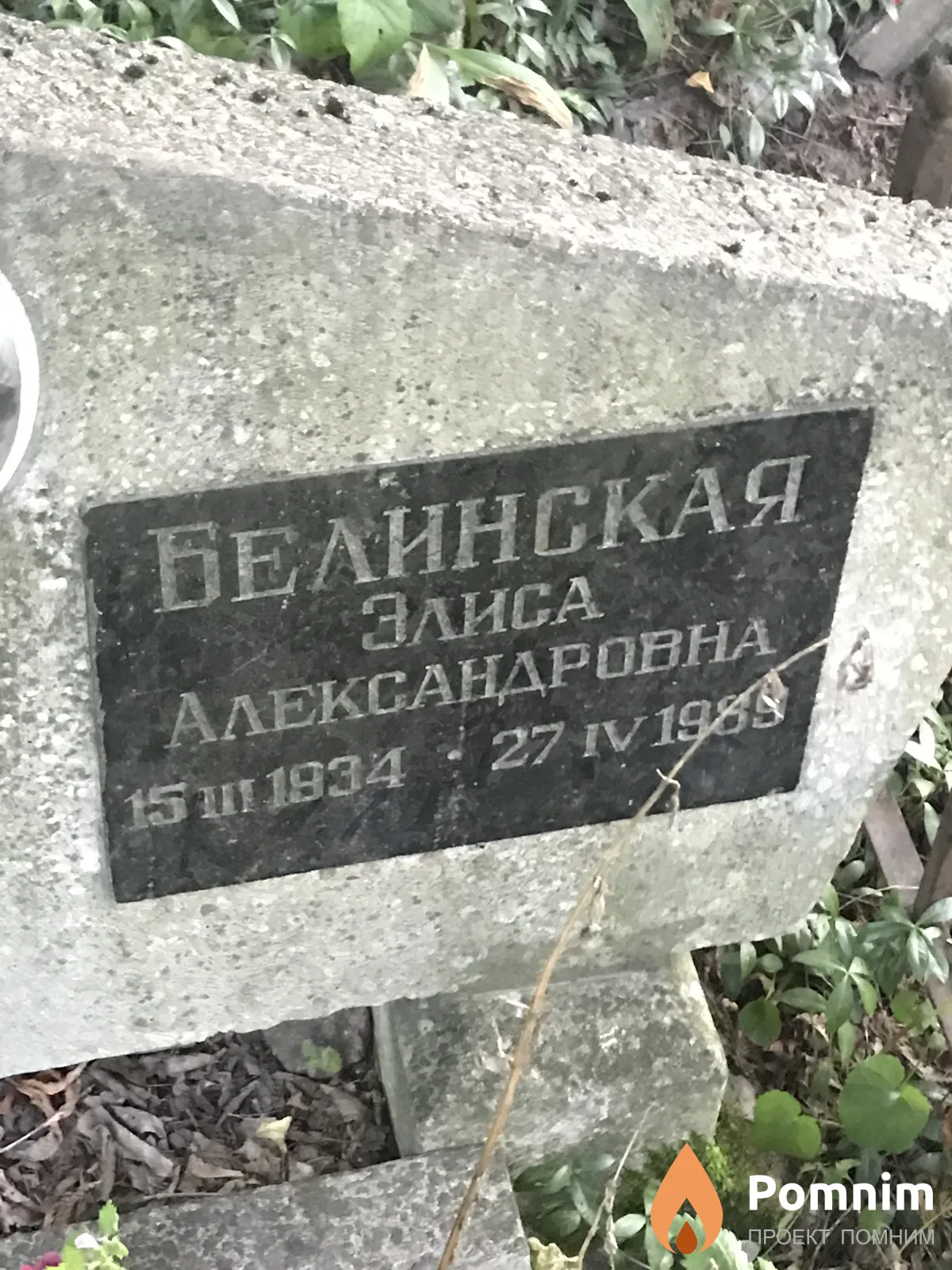 Белинская Элиса Александровна