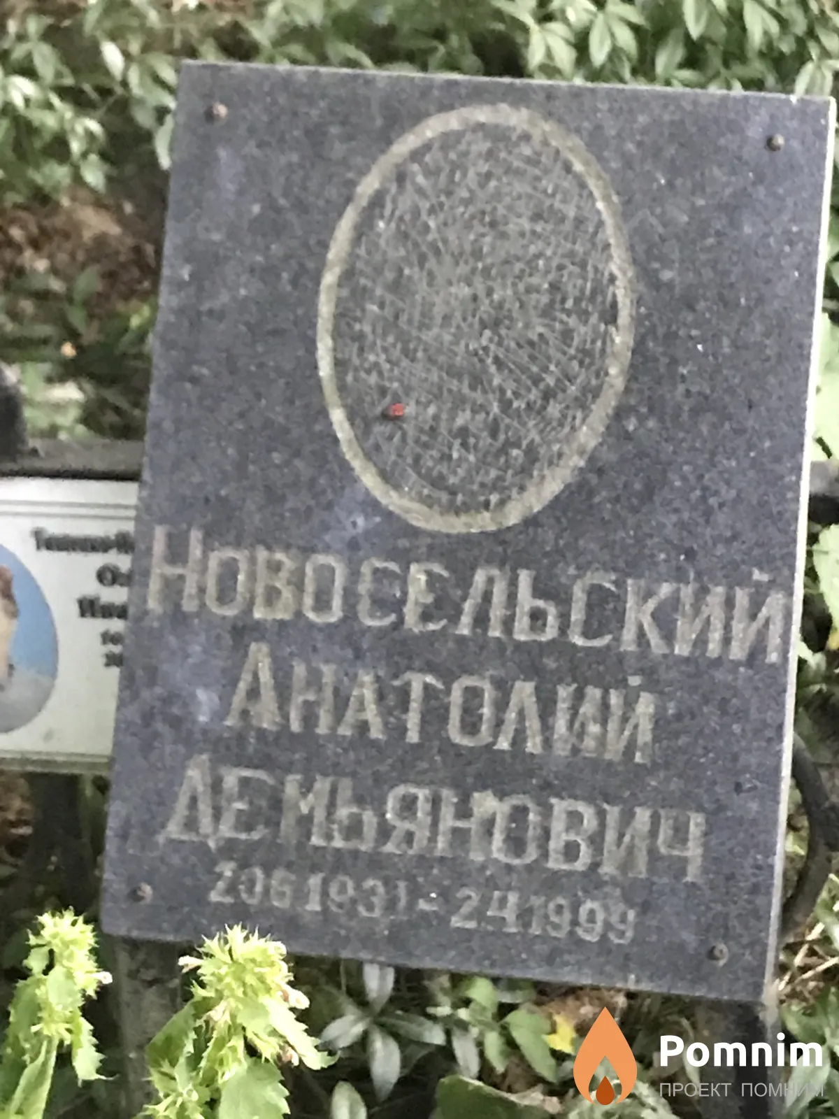 Новосельский Анатолии Демьянович