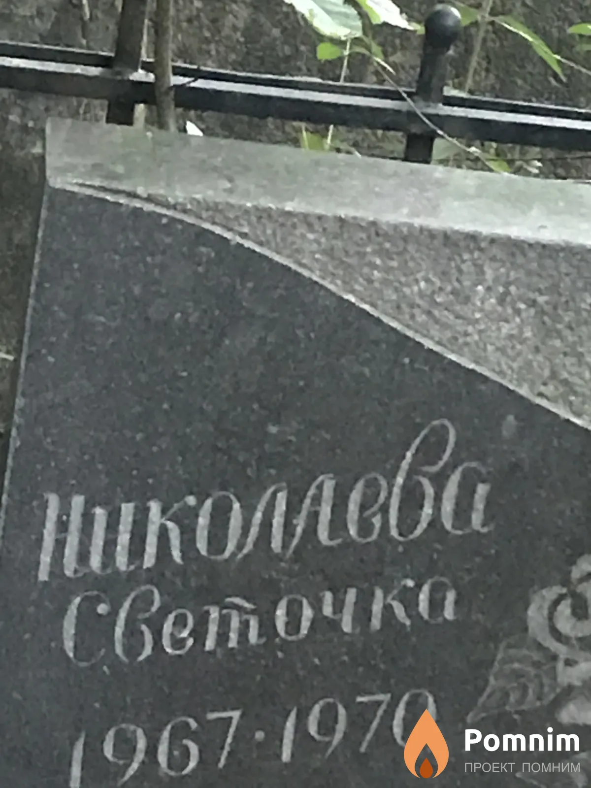 Николлева Света