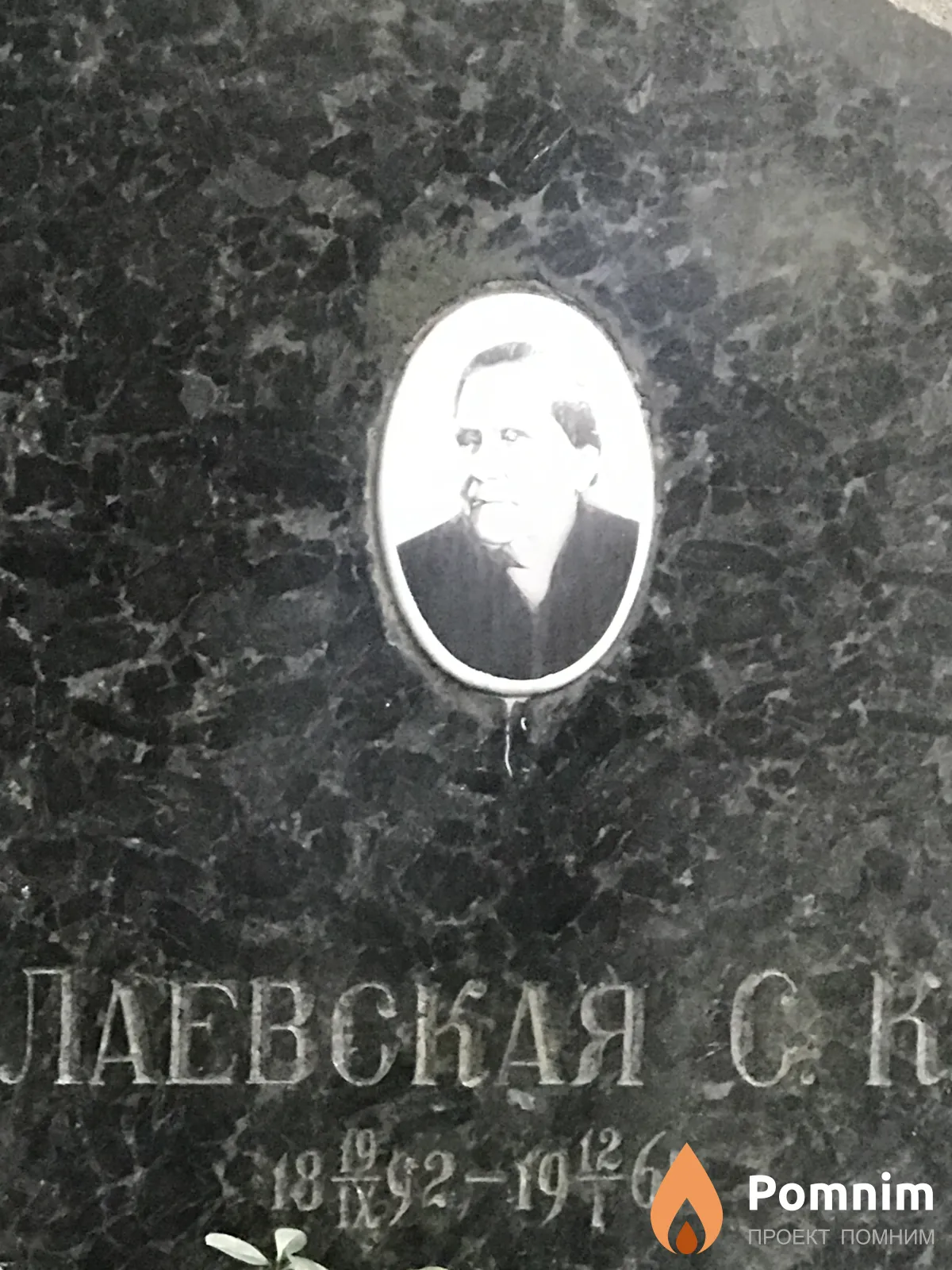 Лаевская С К