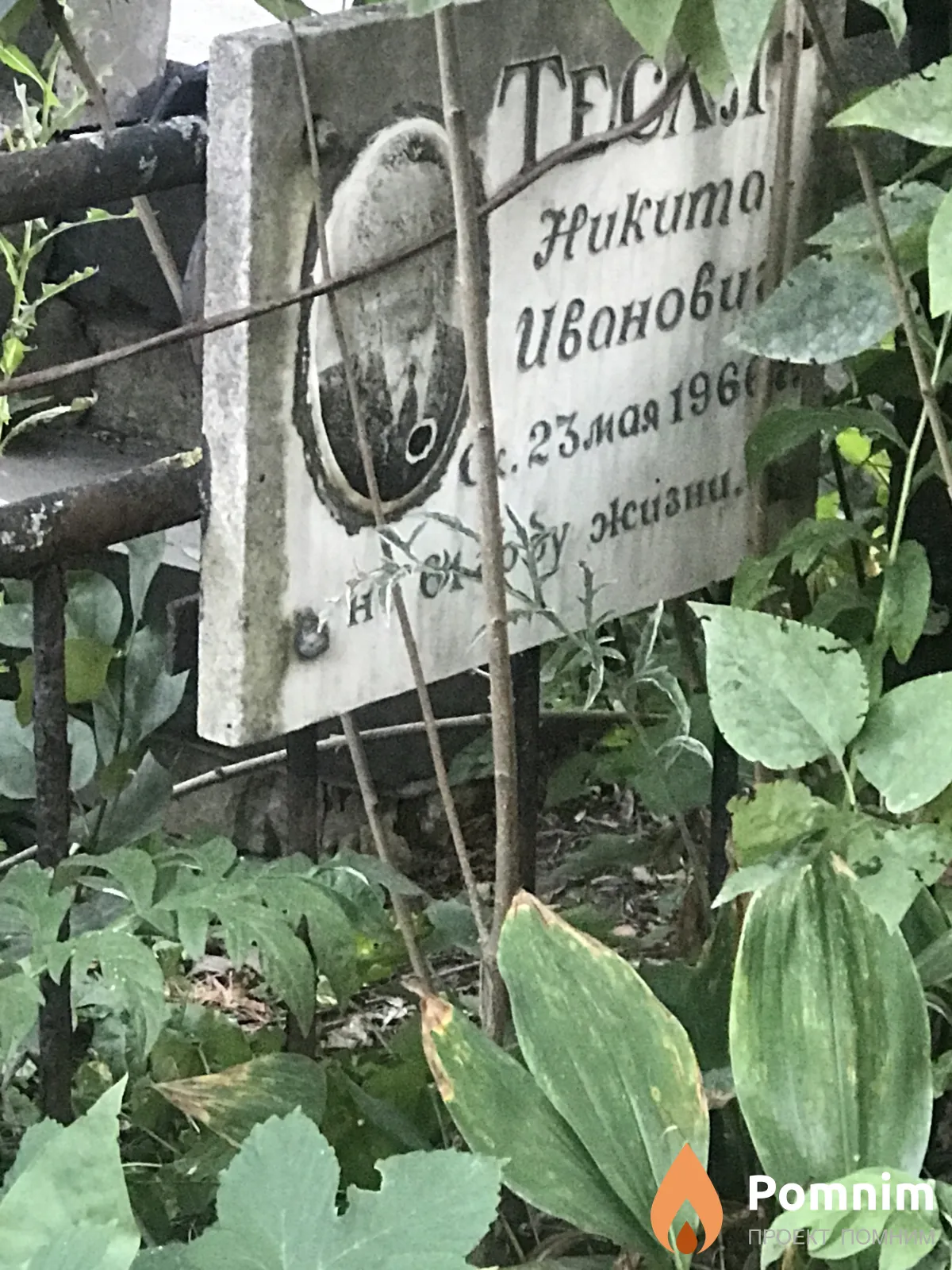 Тесля Никита Иванович