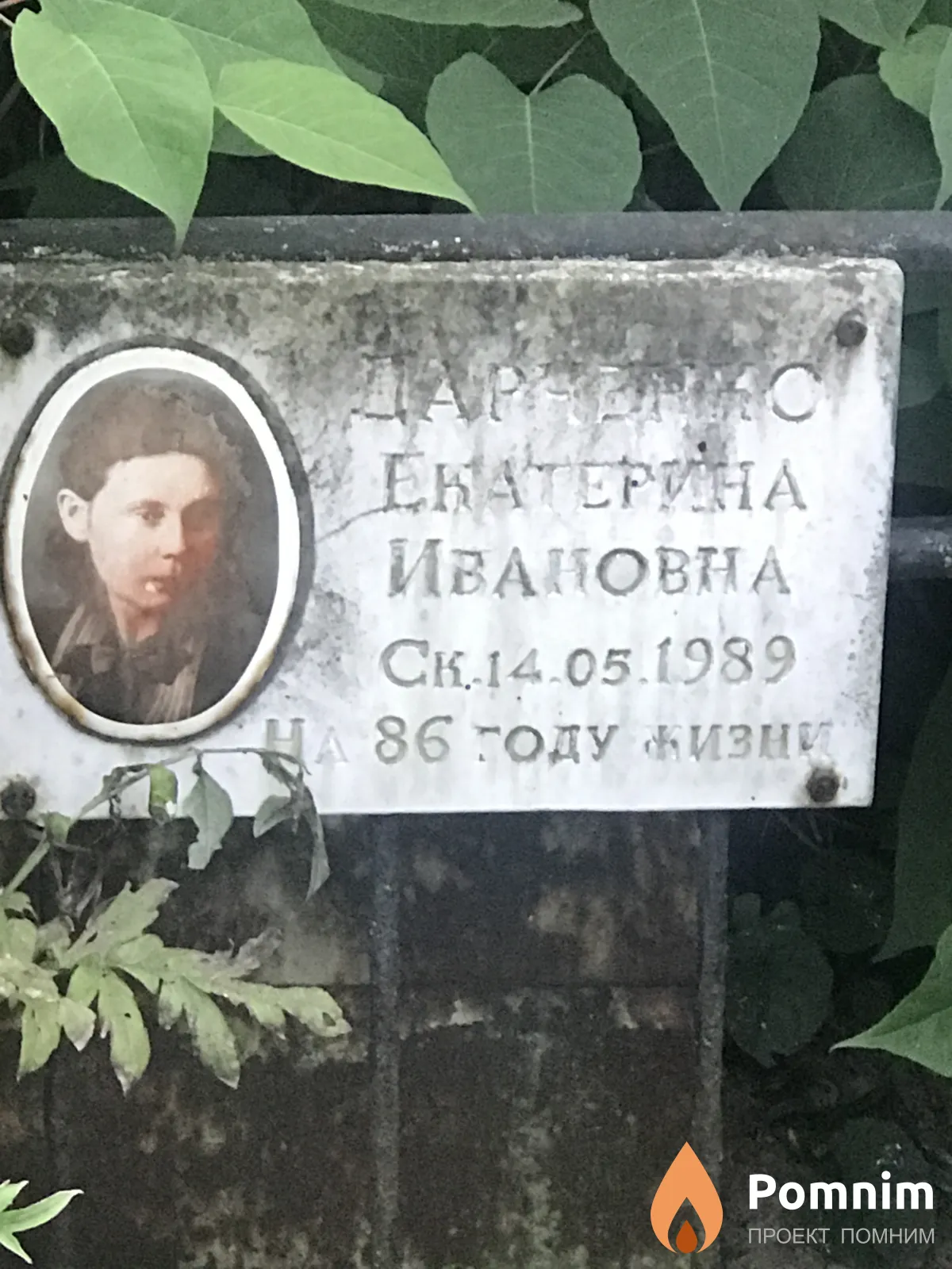 Дарченко Екатерина Ивановна