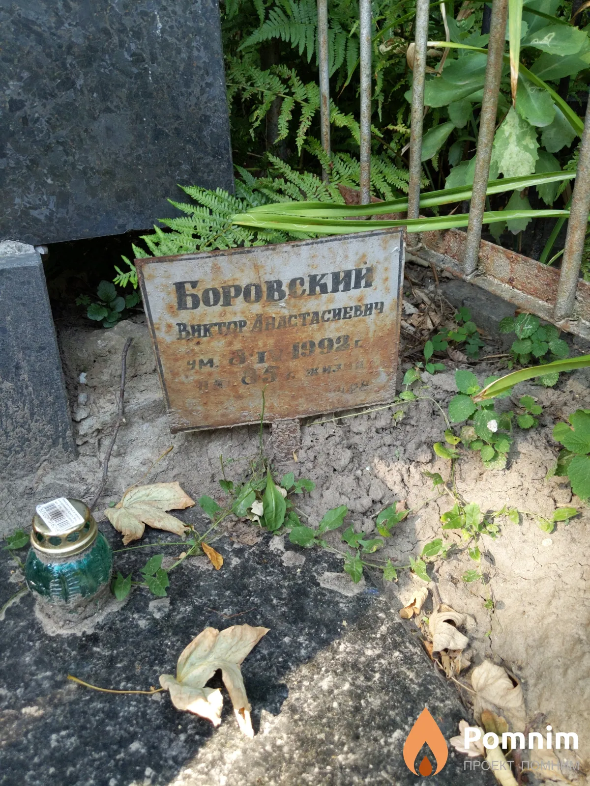 Боровский Виктор Анастасиевич