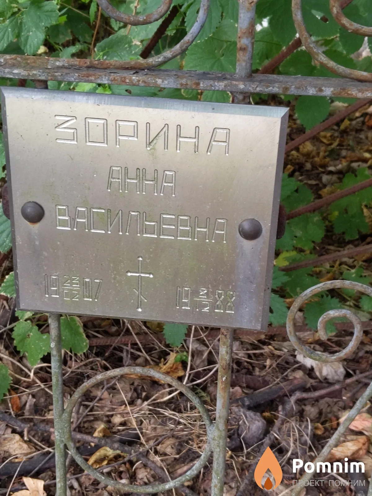 Зорина Анна Васильевна