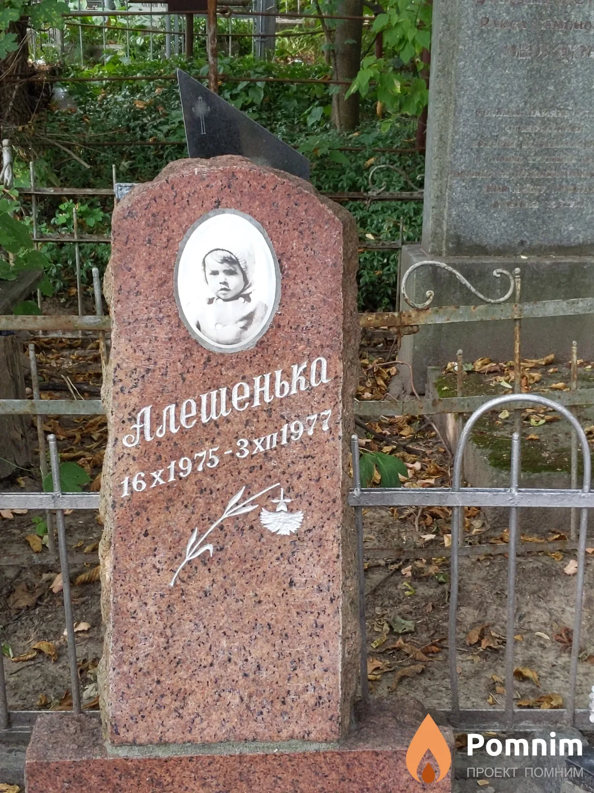 Алешенька Жановна Золова