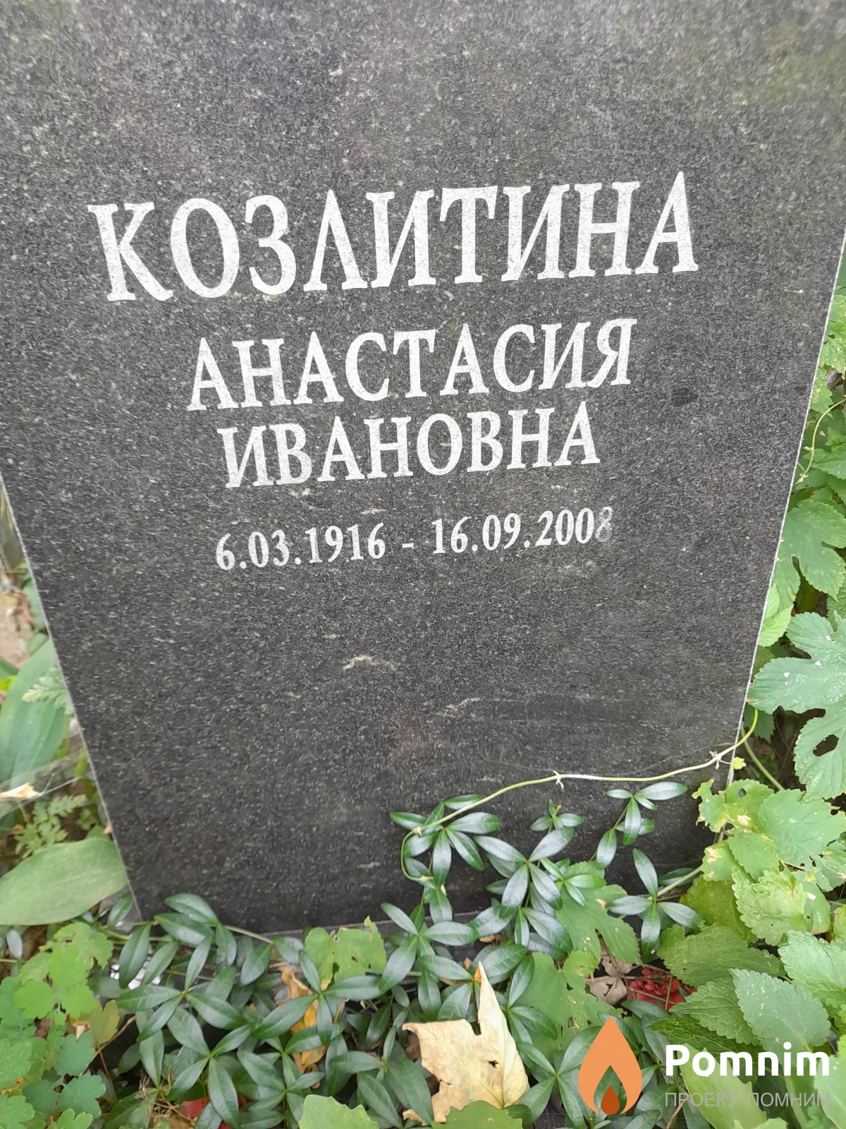Козлитина Анастасия Ивановна
