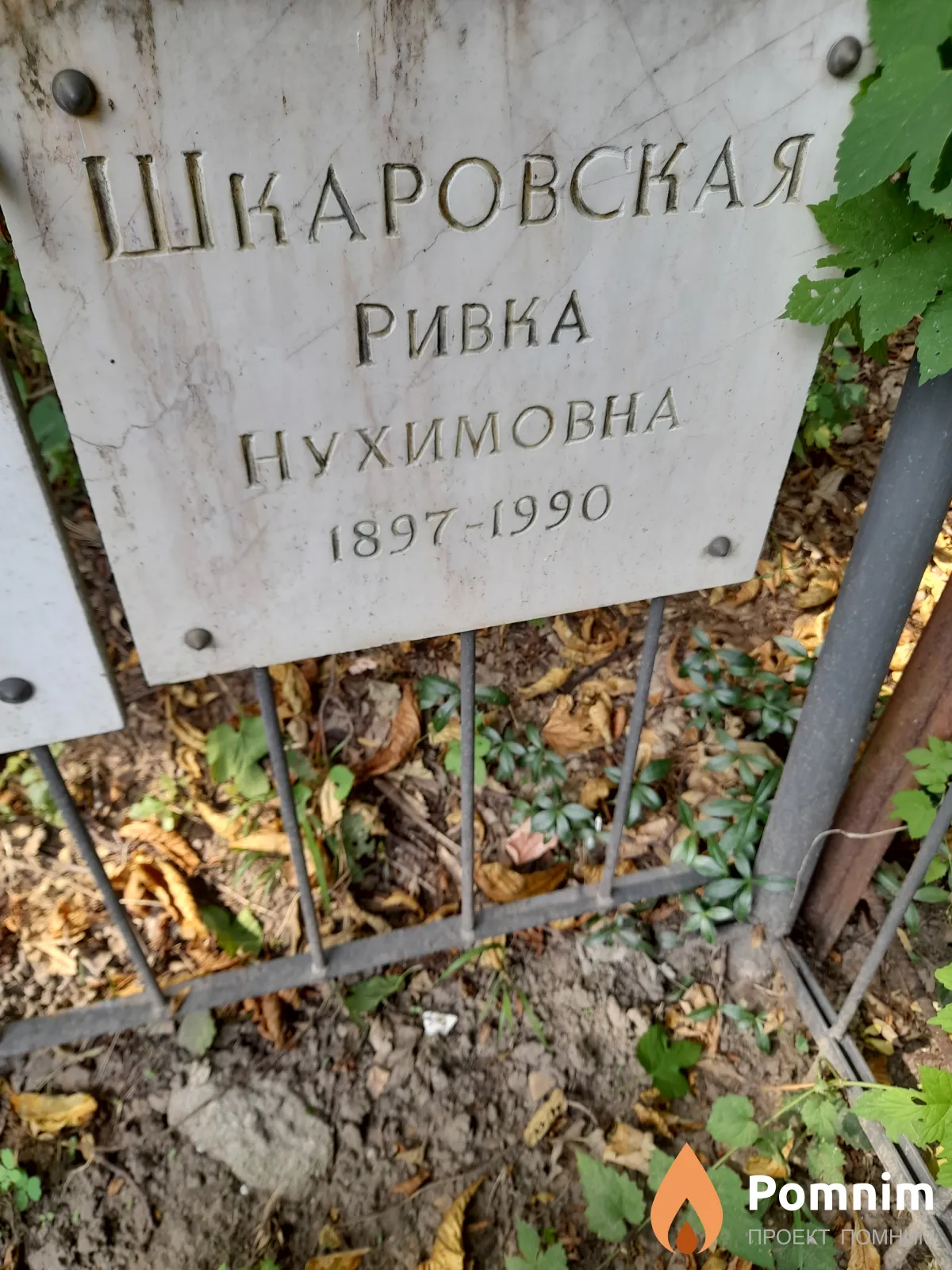 Шкаровская Ривка Нухимовна