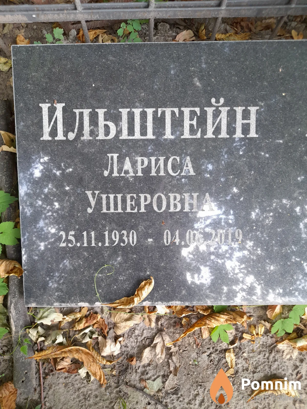 Ильштейн Лариса Ушеровна