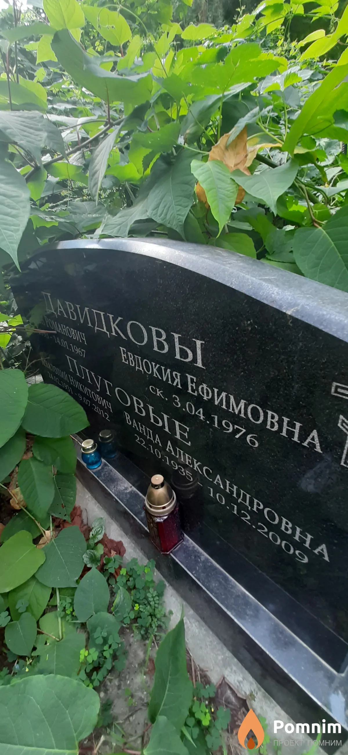 Давиковна Евдокия Ефимовна