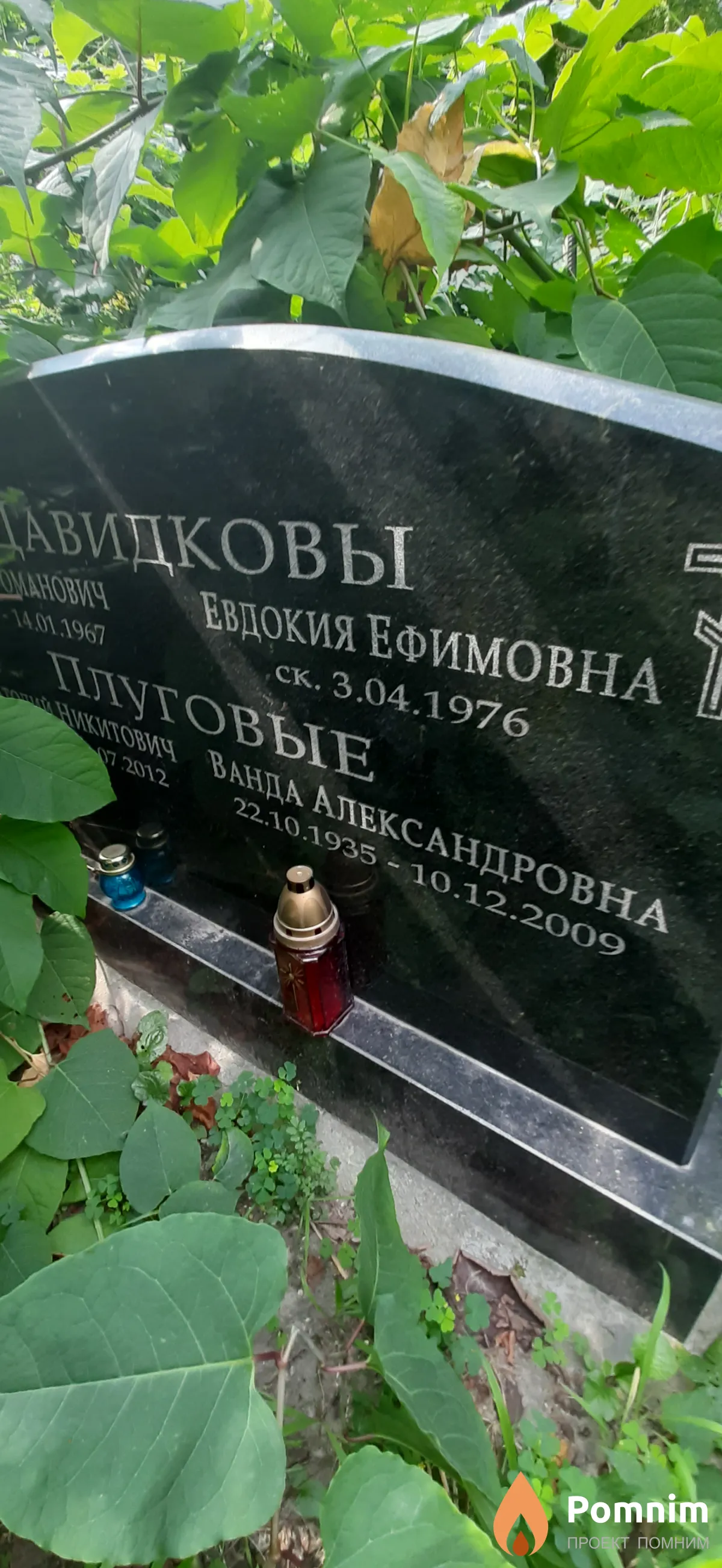 Плуговая Ванда Александровна
