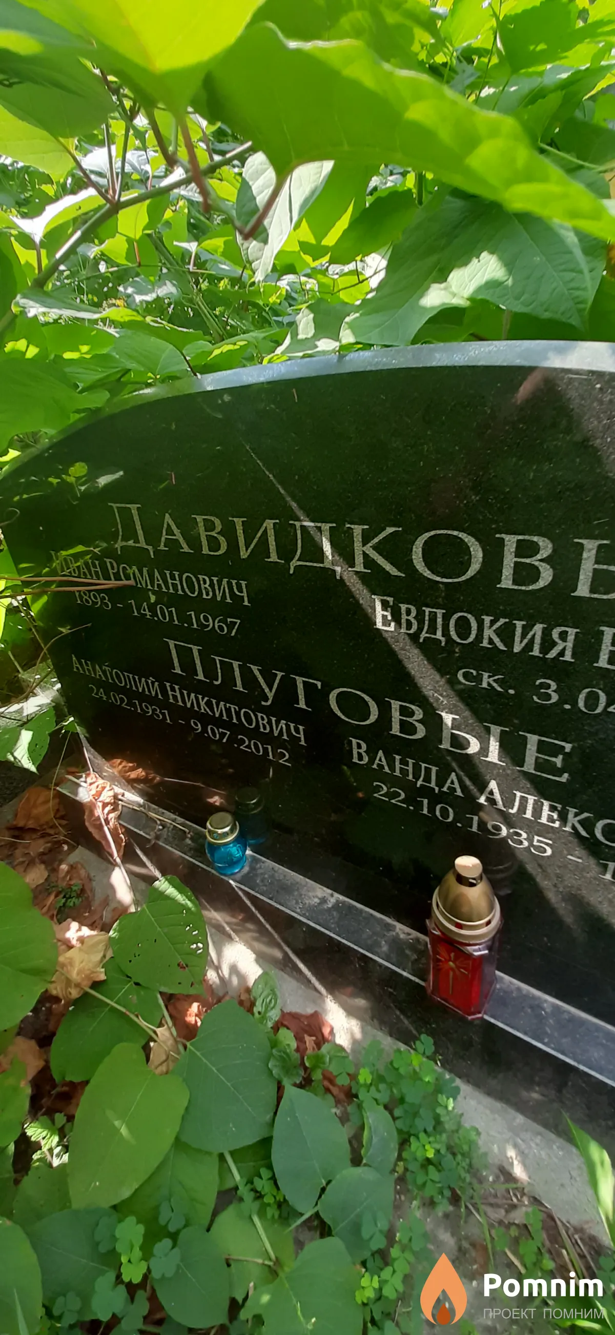 Плуговый Анатолий Никитович