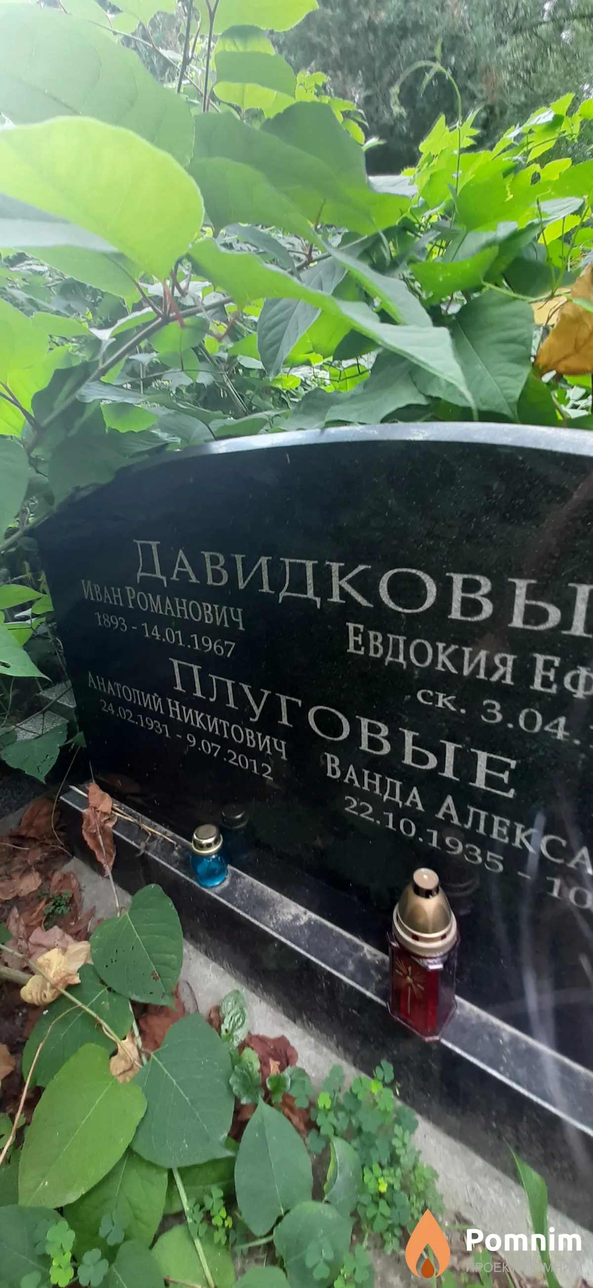 Плуговой Анатолий Никитович