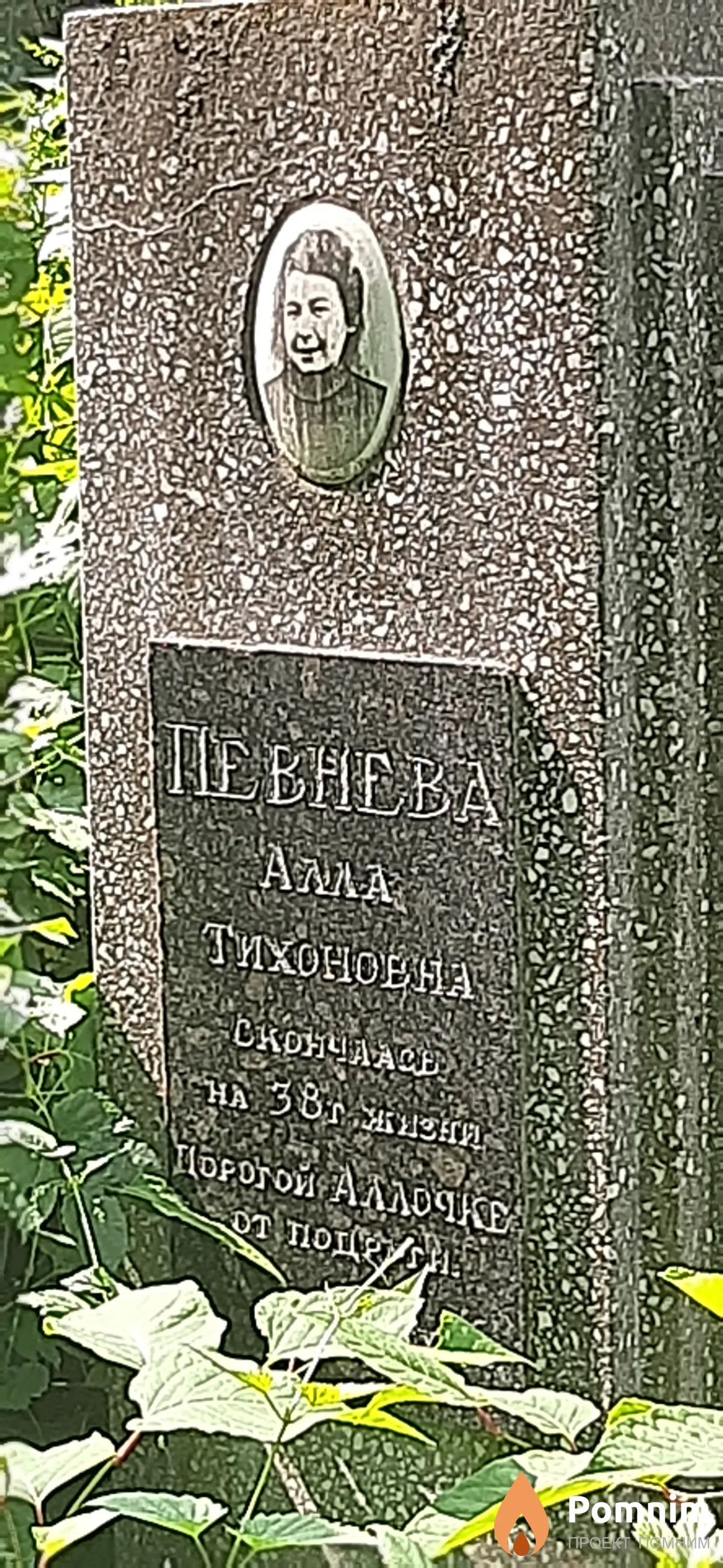 Певнева Алла Тихоновна