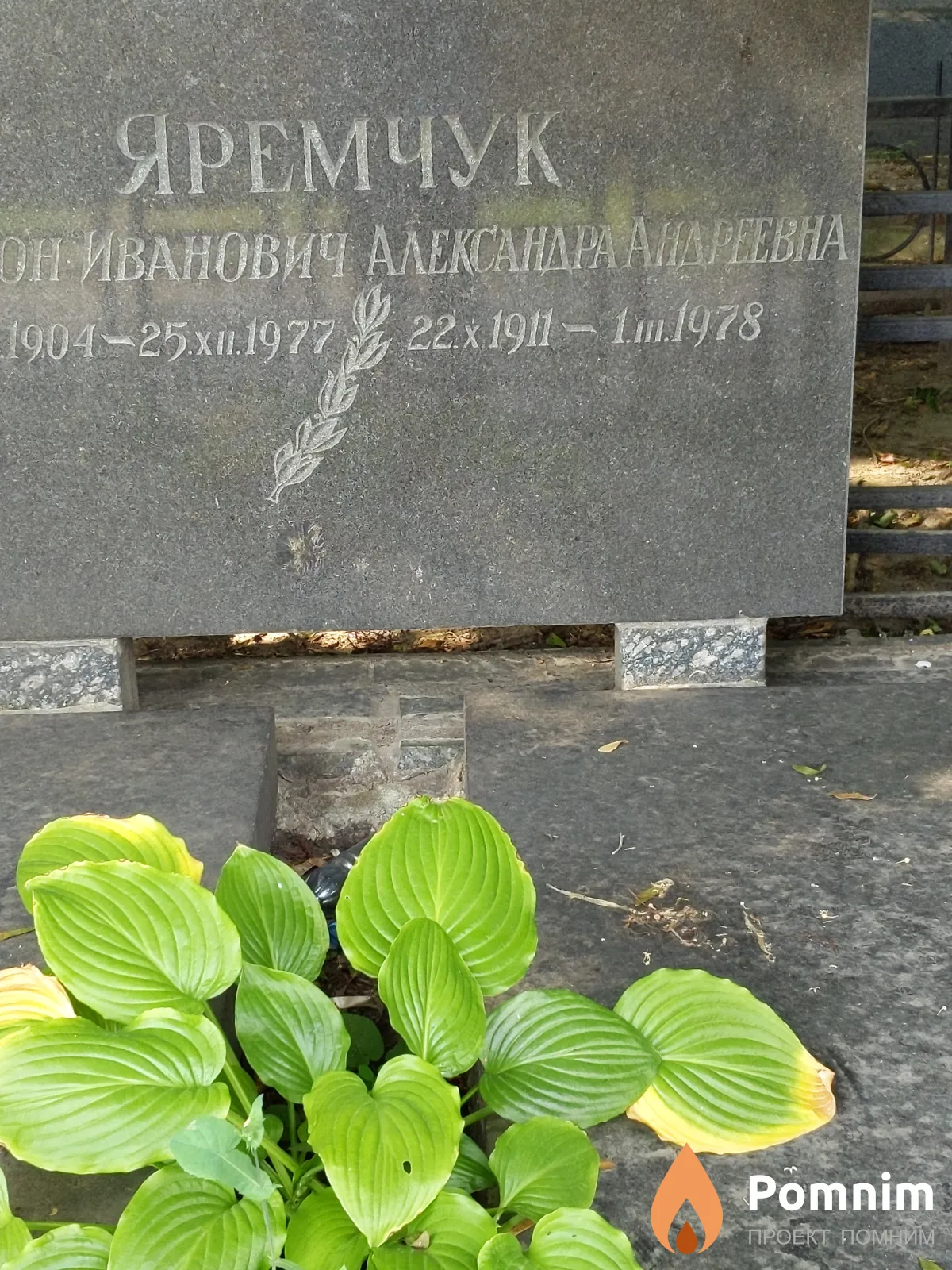 Яремчук Александра Андреевна