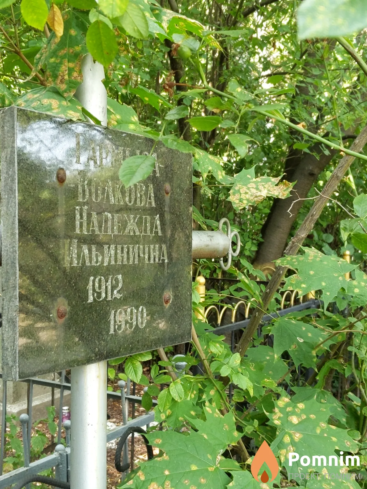 Гармыза-Волкова Надежда Ильинична