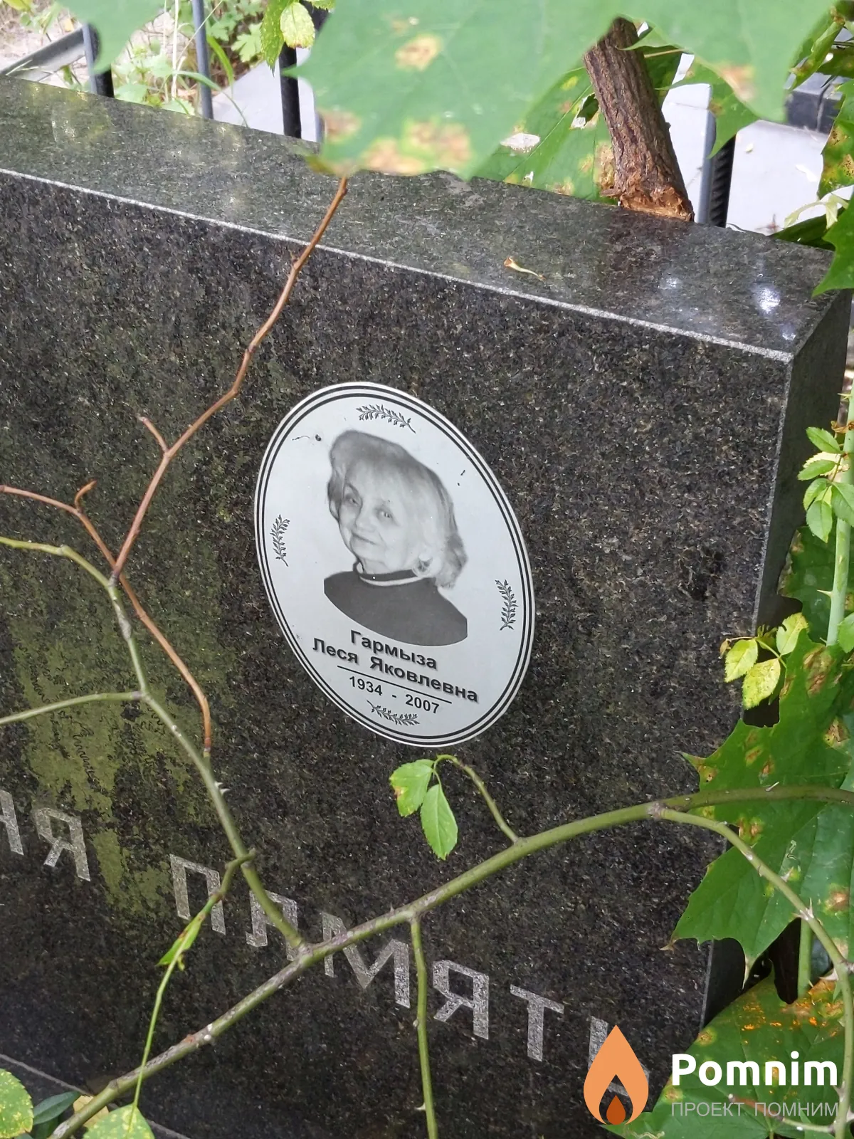 Гармыза Леся Яковлева